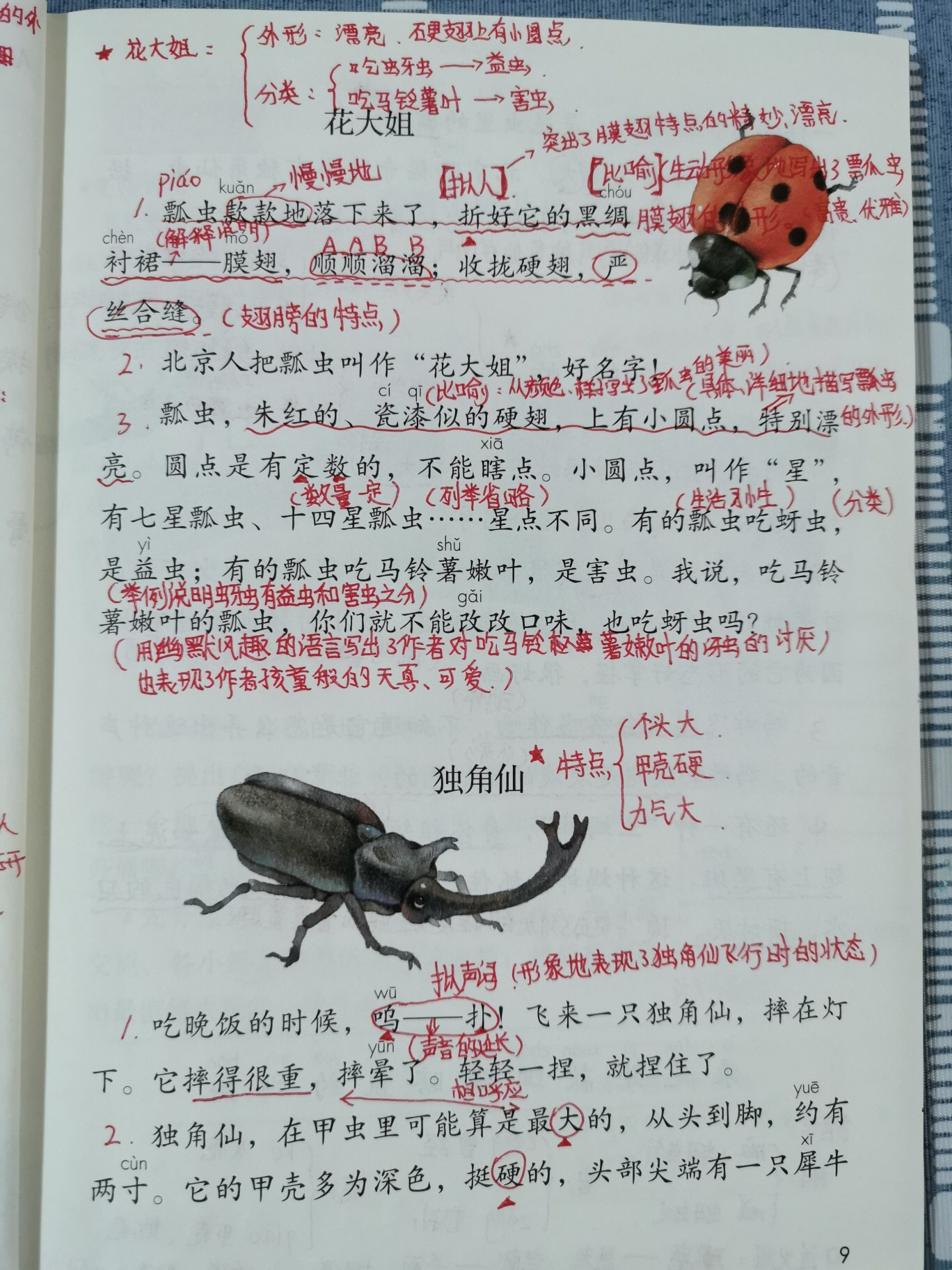 三年级下册语文笔记!第四课昆虫备忘录