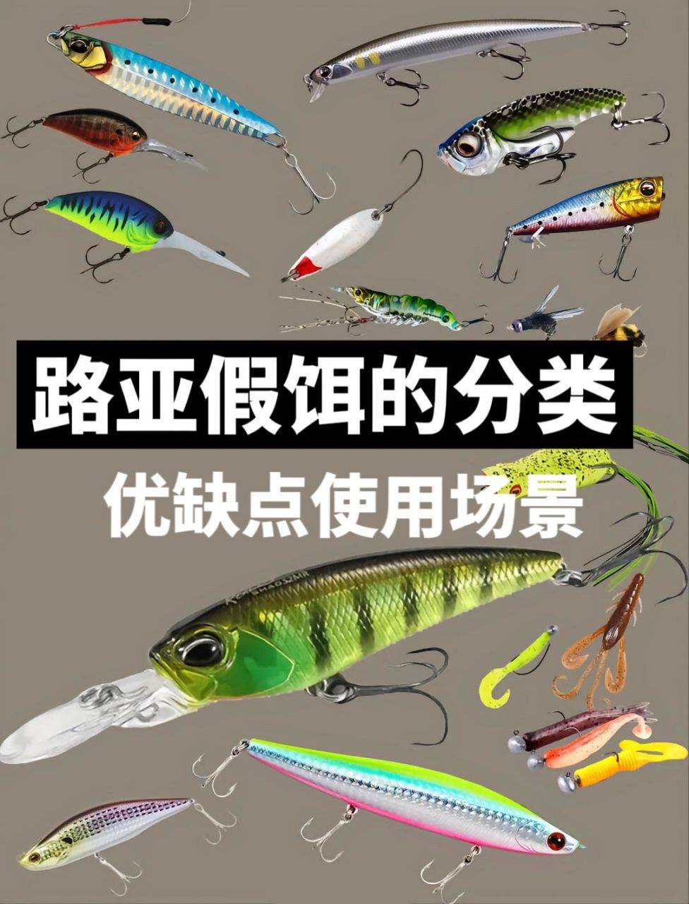 最干的干货:路亚的假饵分类及使用场景 路亚新手赶紧收藏起来～眼睛先