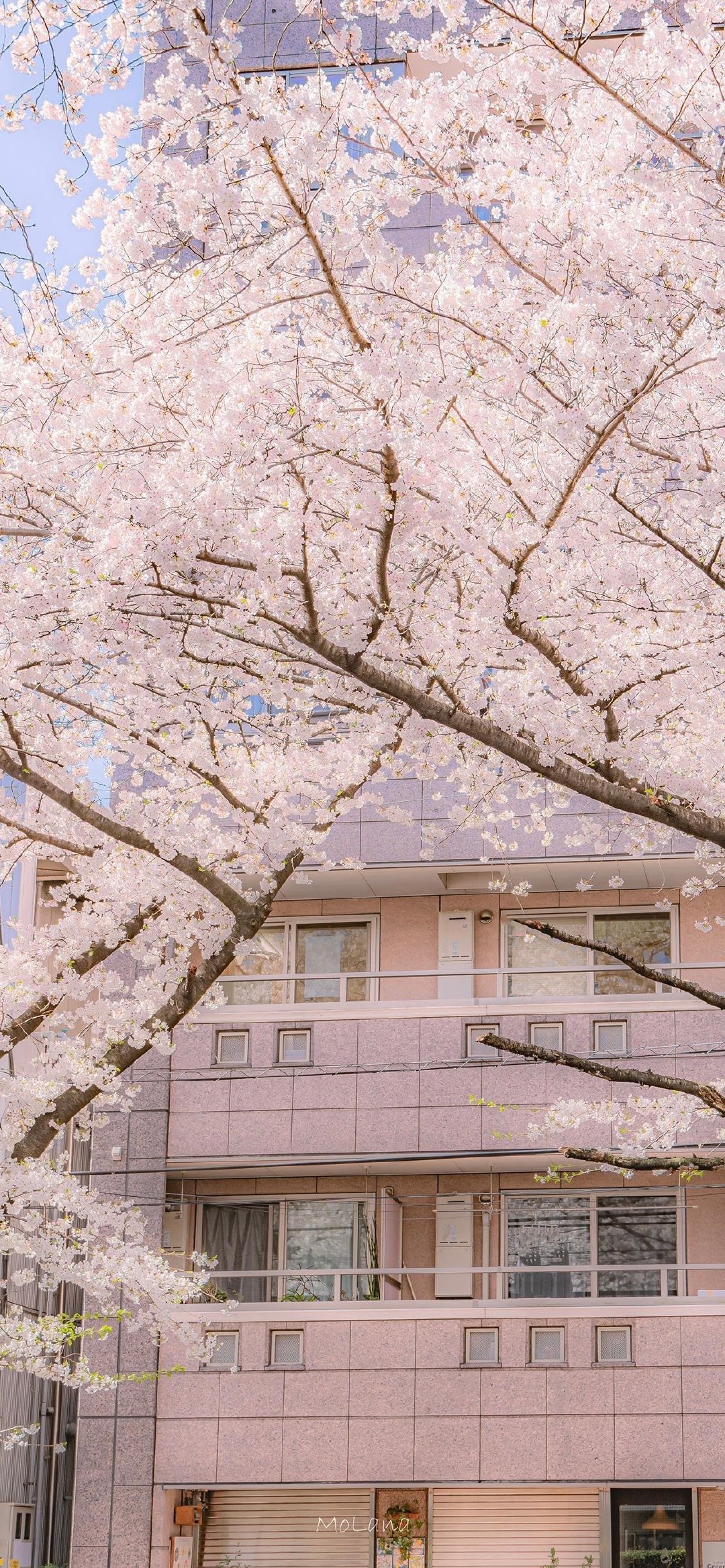 无论你最终变成怎样的人,要相信这些年你都能一个