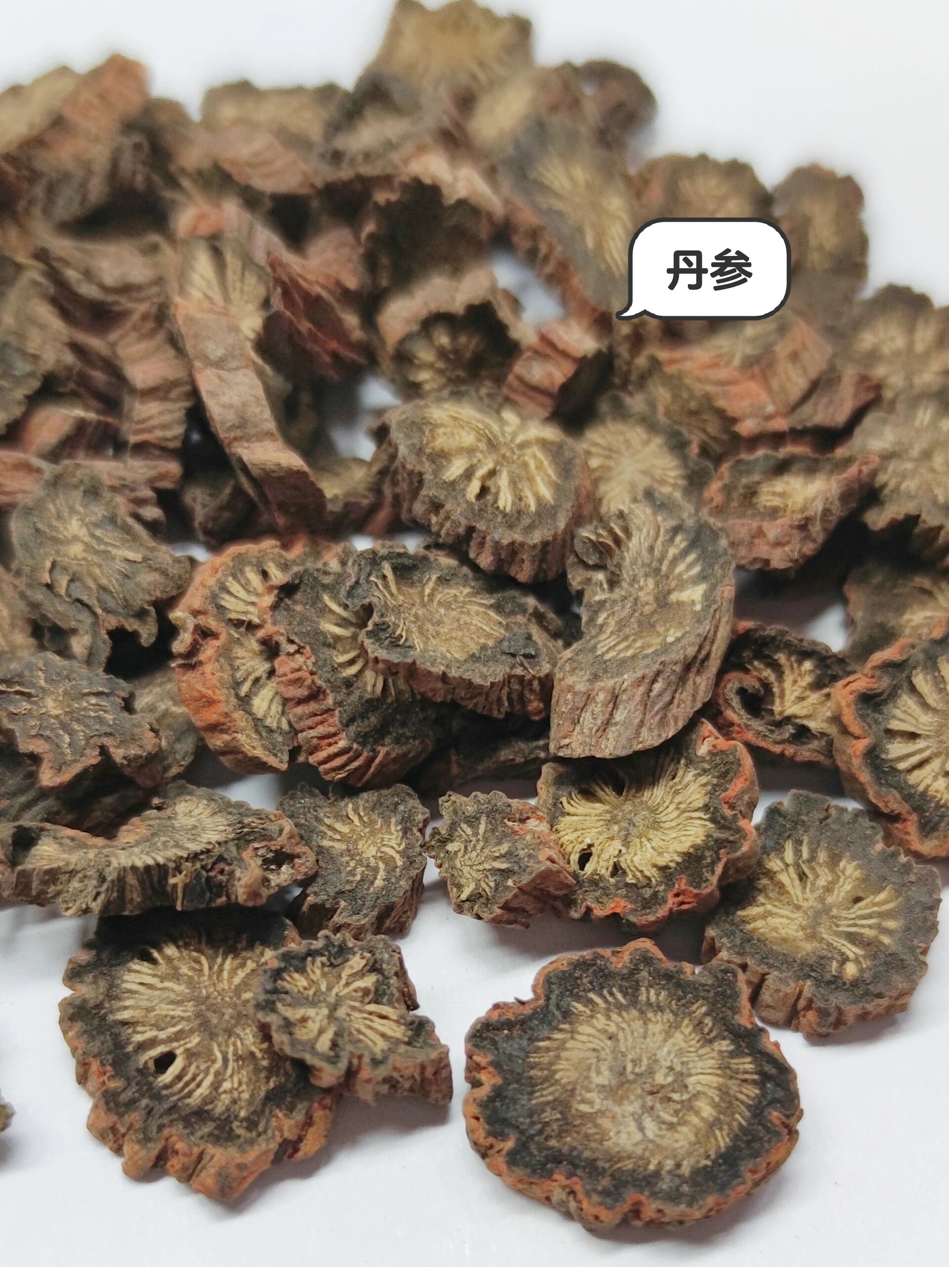 性状丹参根茎短粗