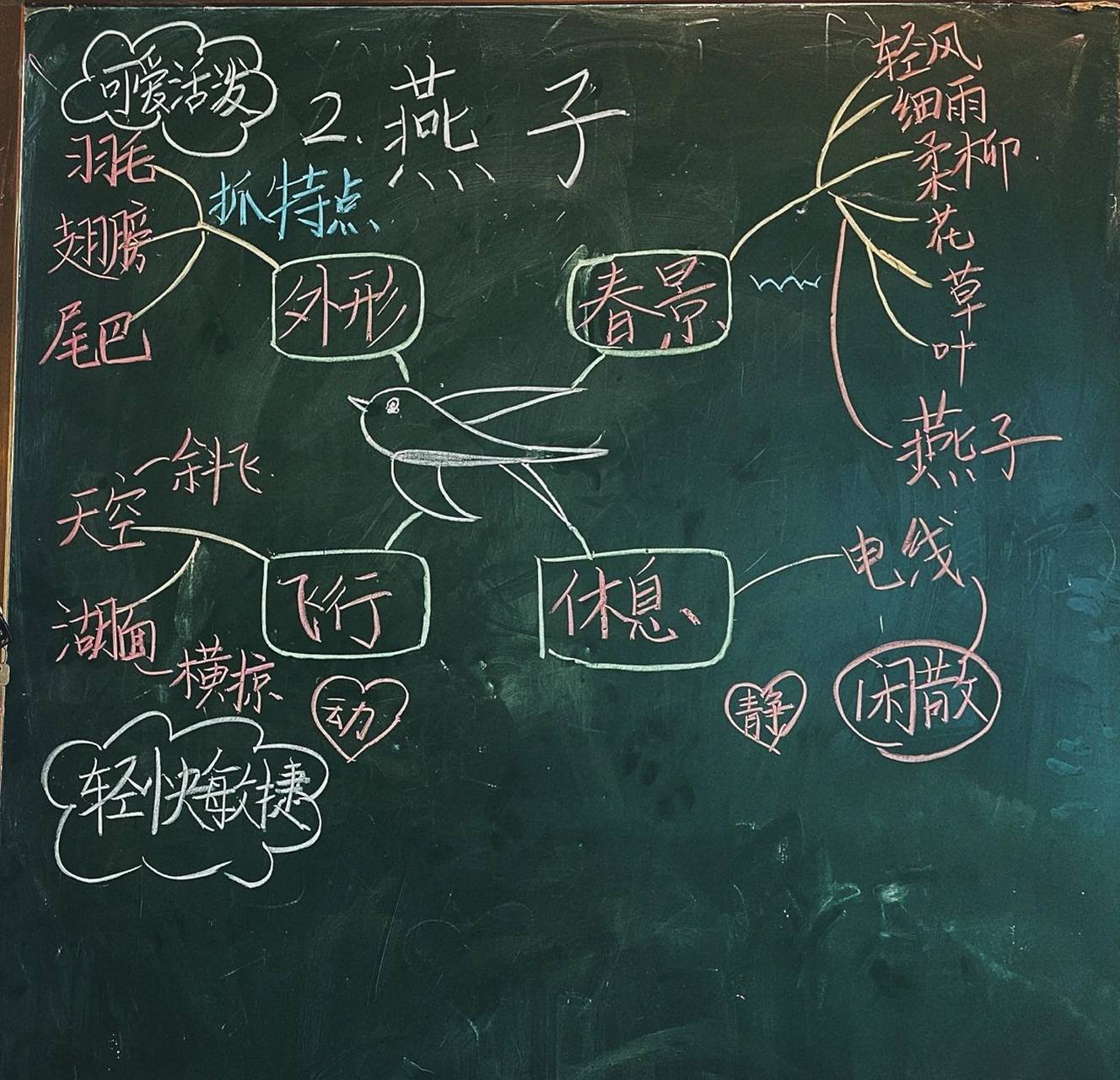 三下语文第二课《燕子》板书思维导图 三下语文第二课《燕子》板书