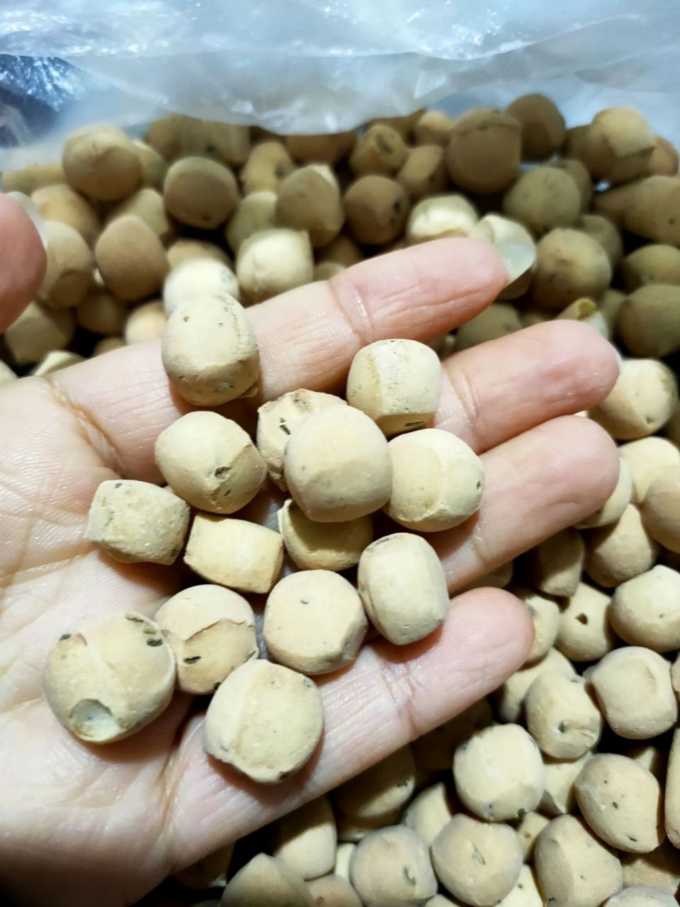 我不太知道? 是用面和土做的面豆 说实话,还挺推荐的.