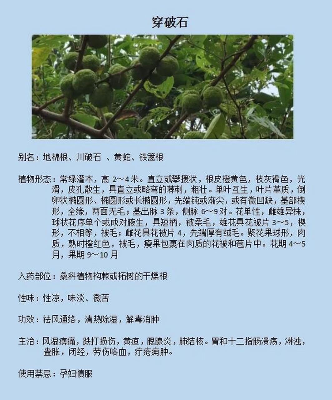 穿破石