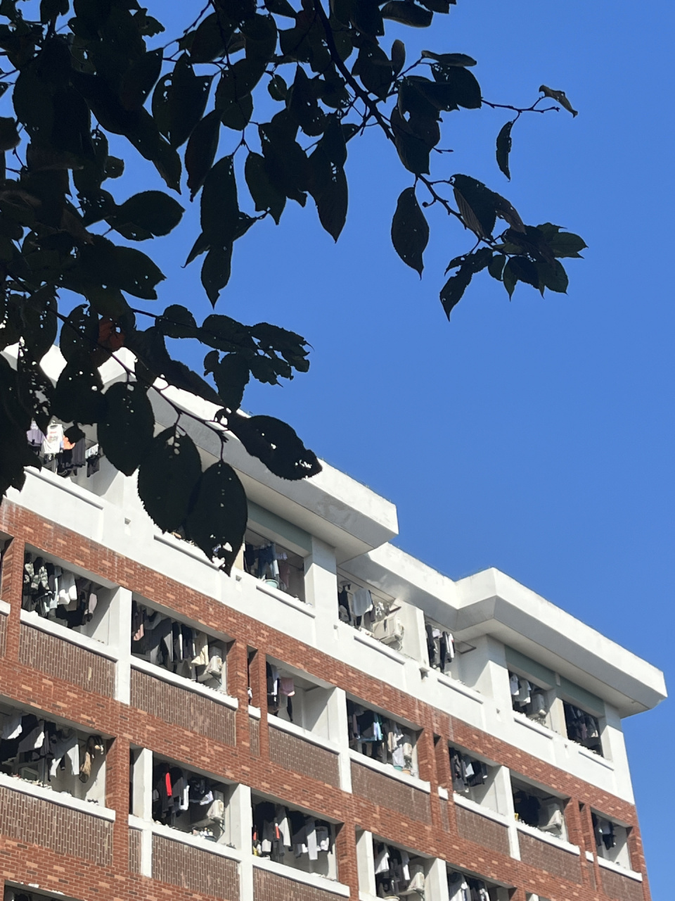 淮北师范大学宿舍条件实拍图 图一是军训说要查宿舍特意收拾的