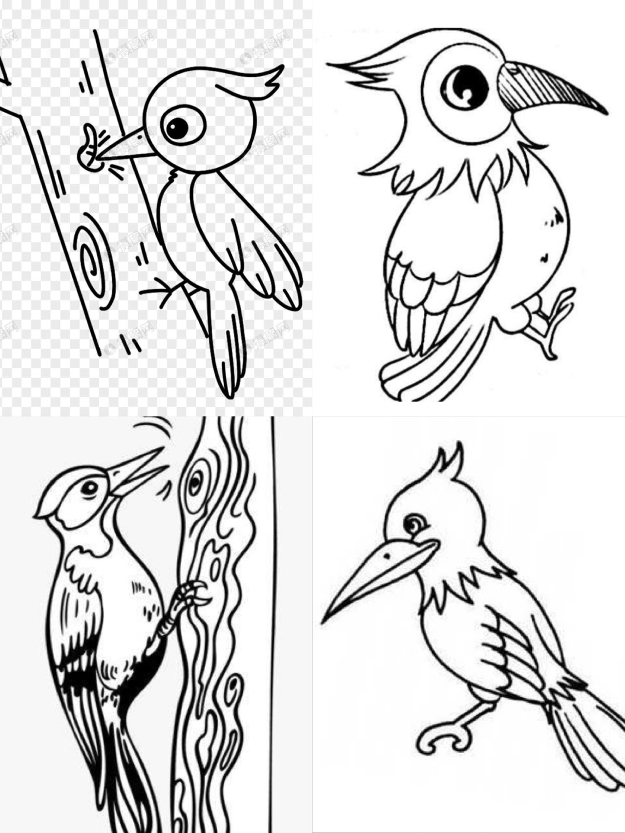 啄木鸟素材分享