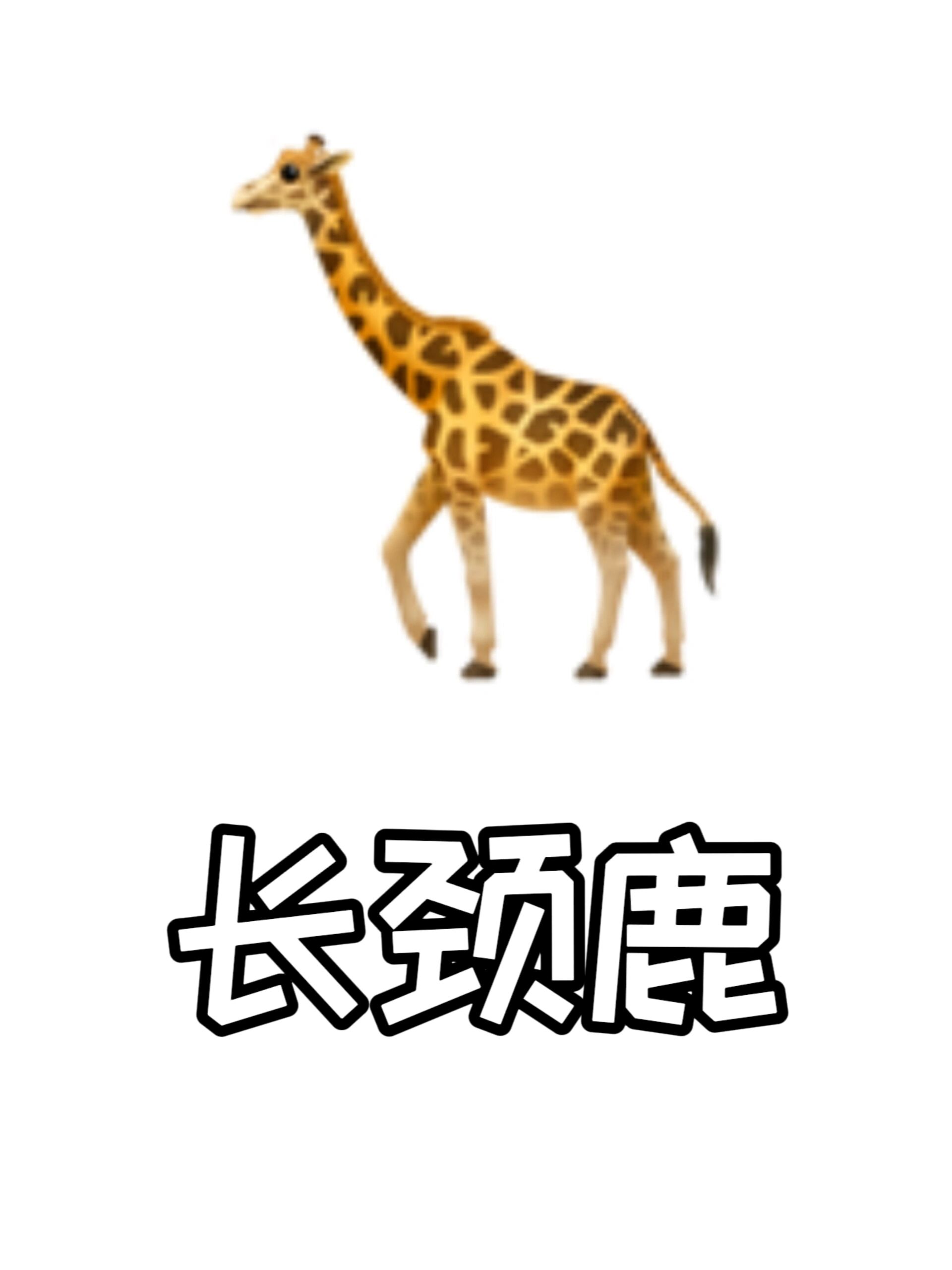 动物园的emoji表情图片