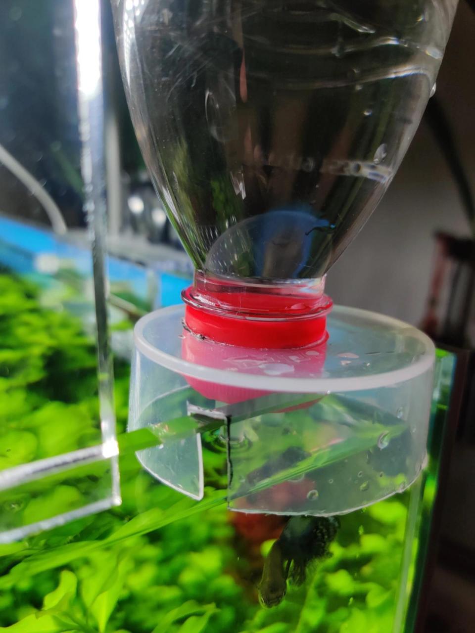 diy 零成本鱼缸自动补水器 第一篇,就发个刚做好的补水器吧!