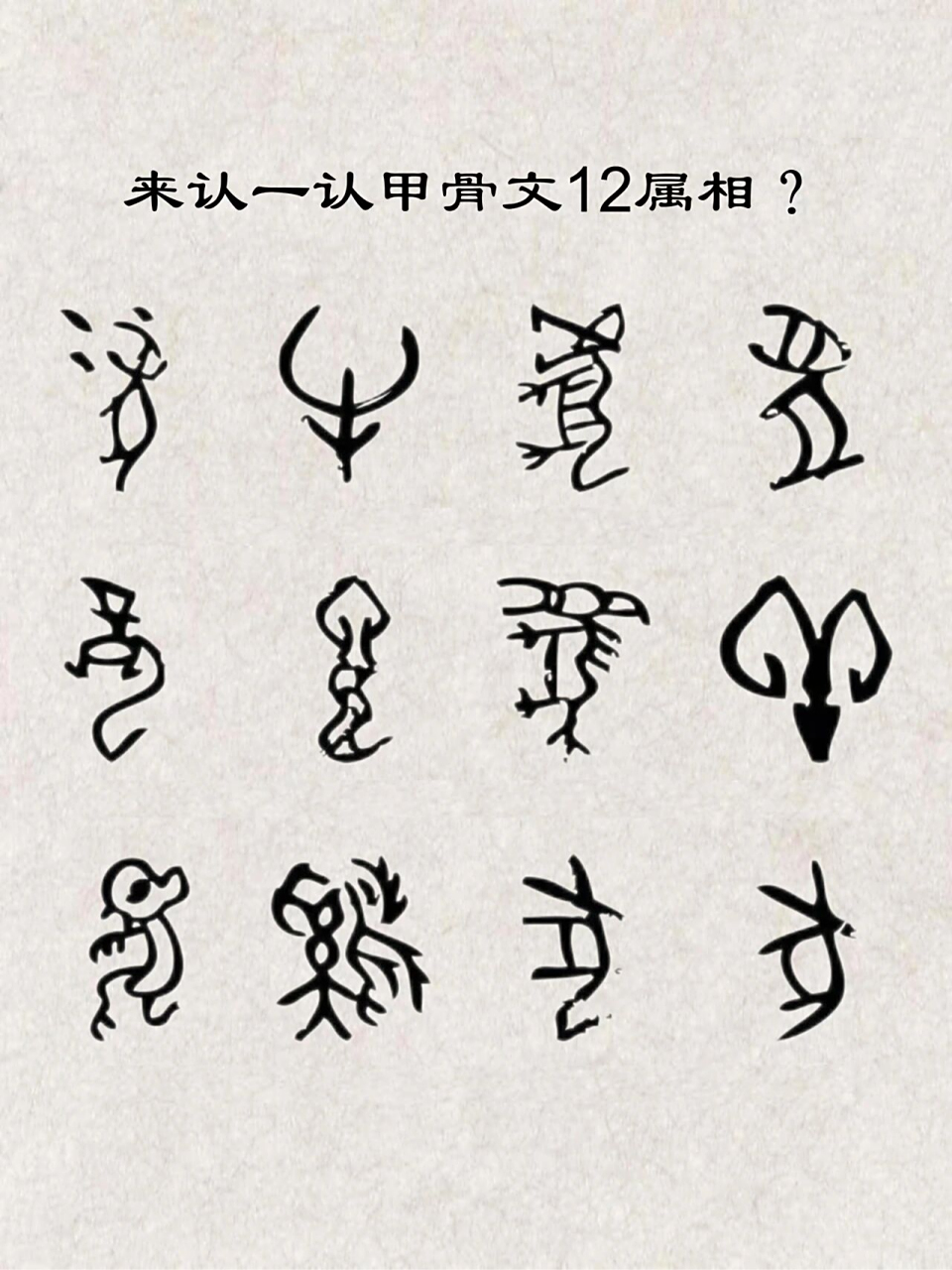 甲骨文12属相你认识吗?