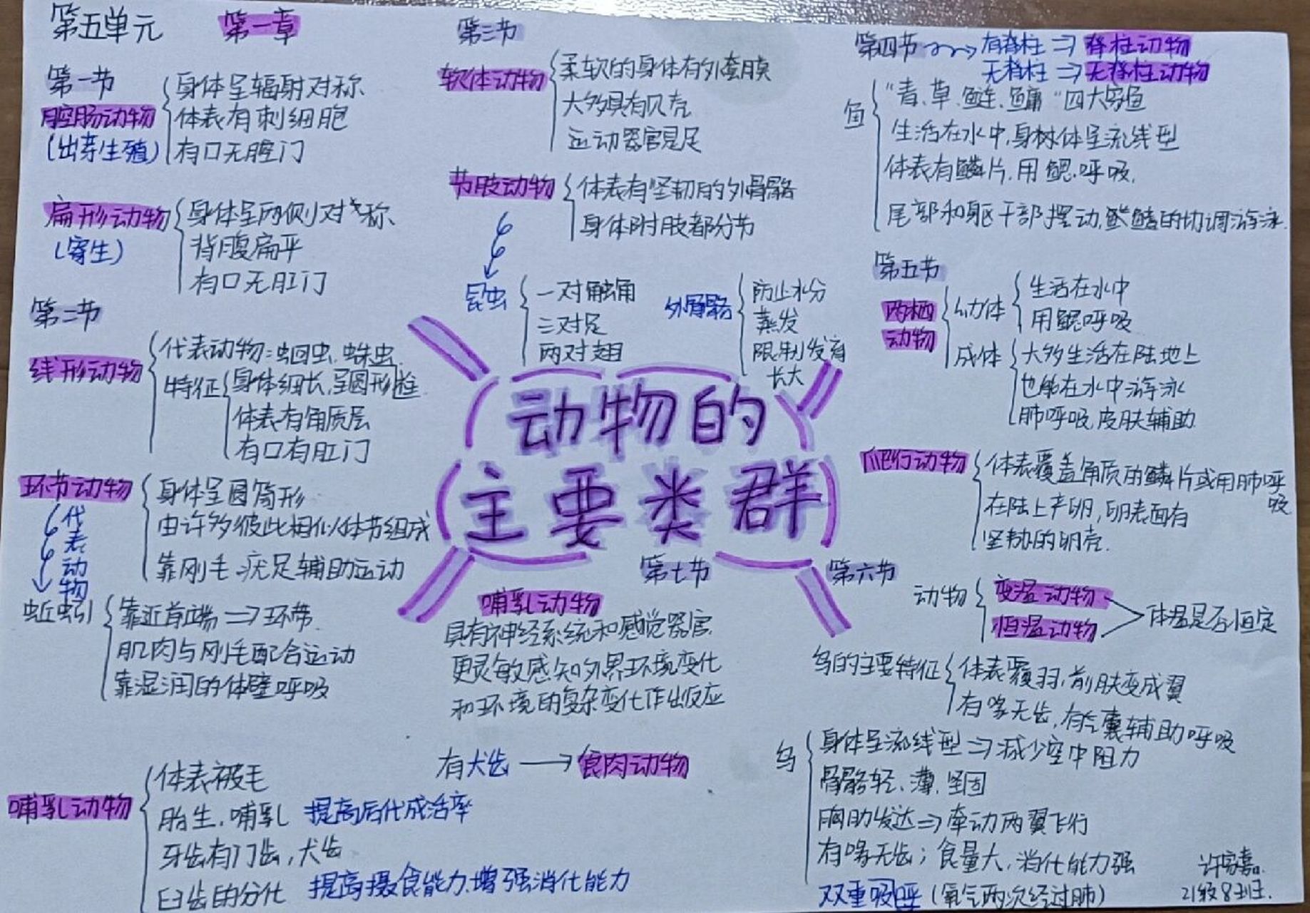 八上生物思维导图 第一章  动物的主要类群