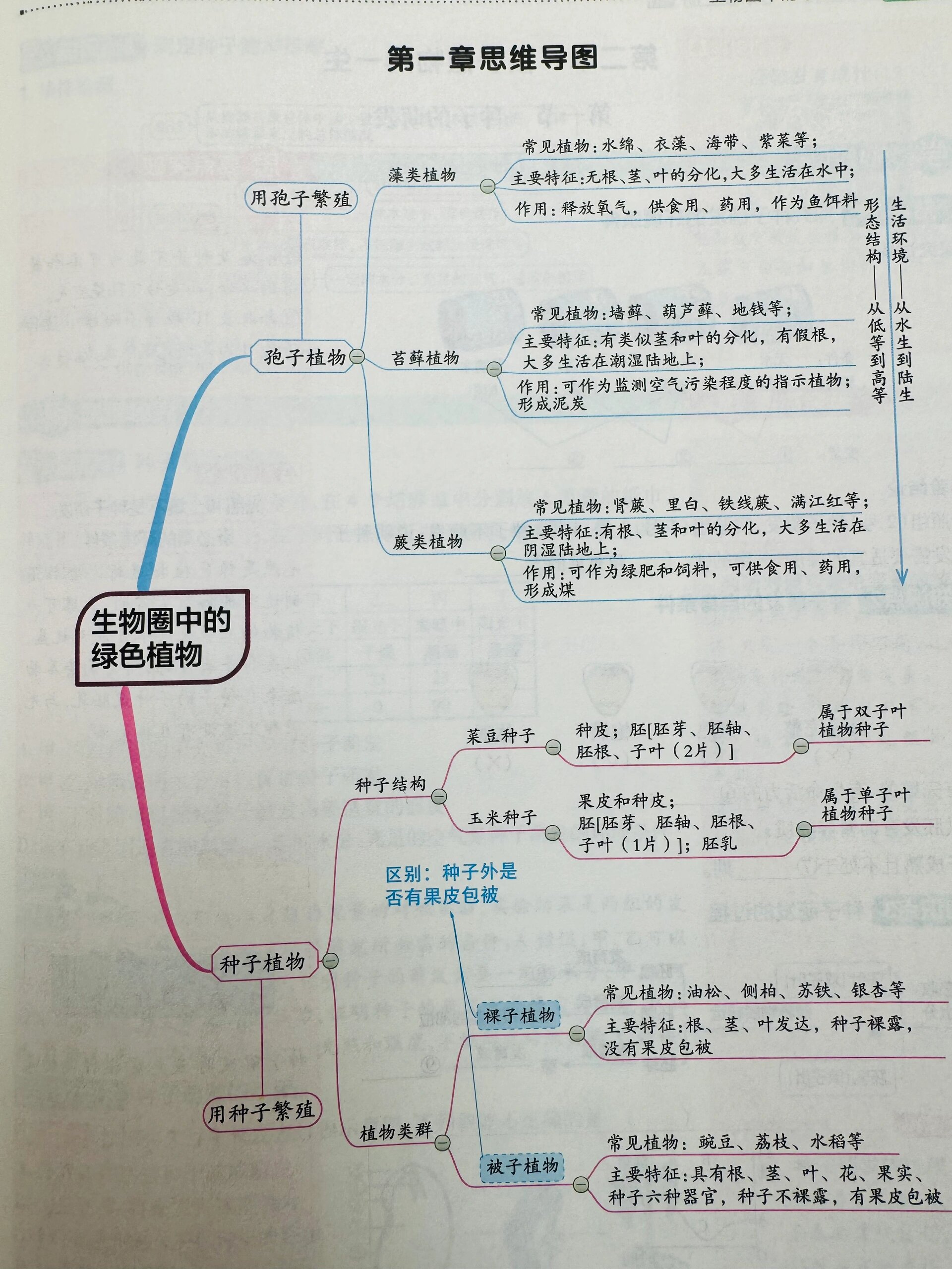 七上生物知识框架图图片