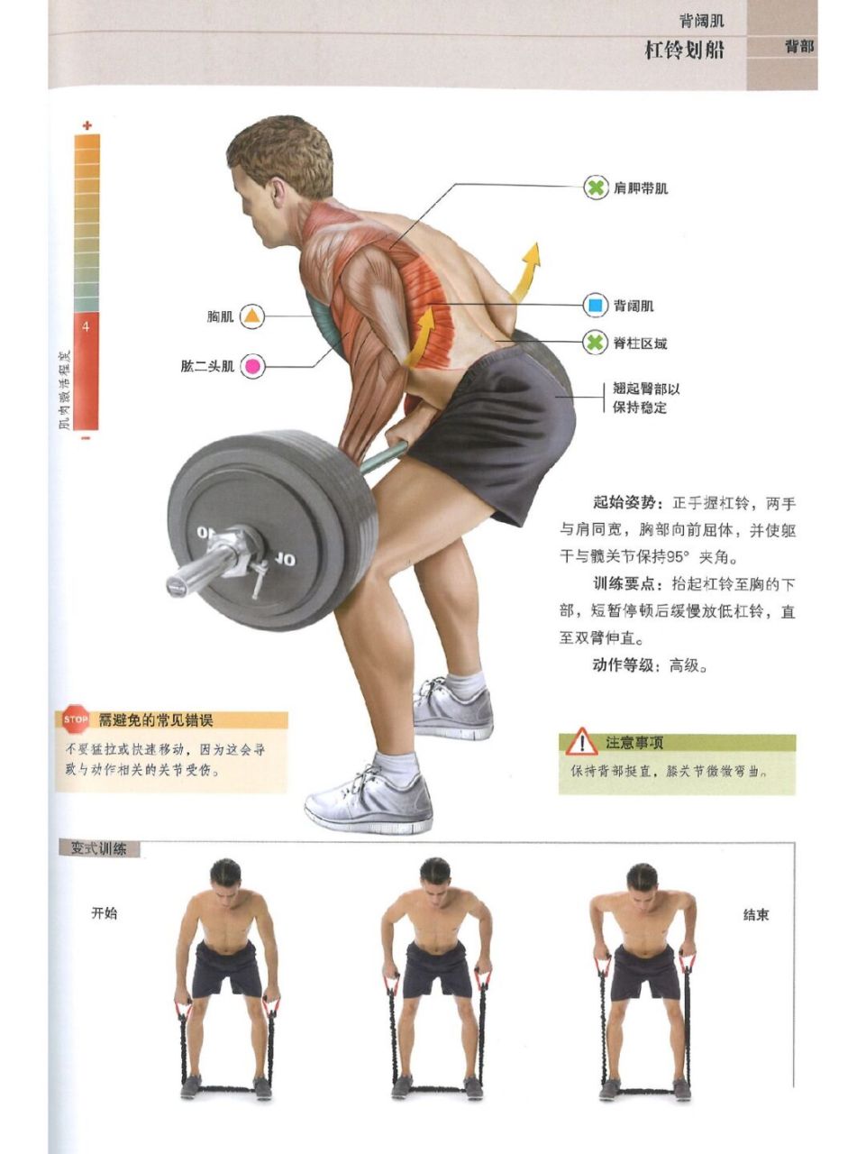 后背锻炼动作图片图片