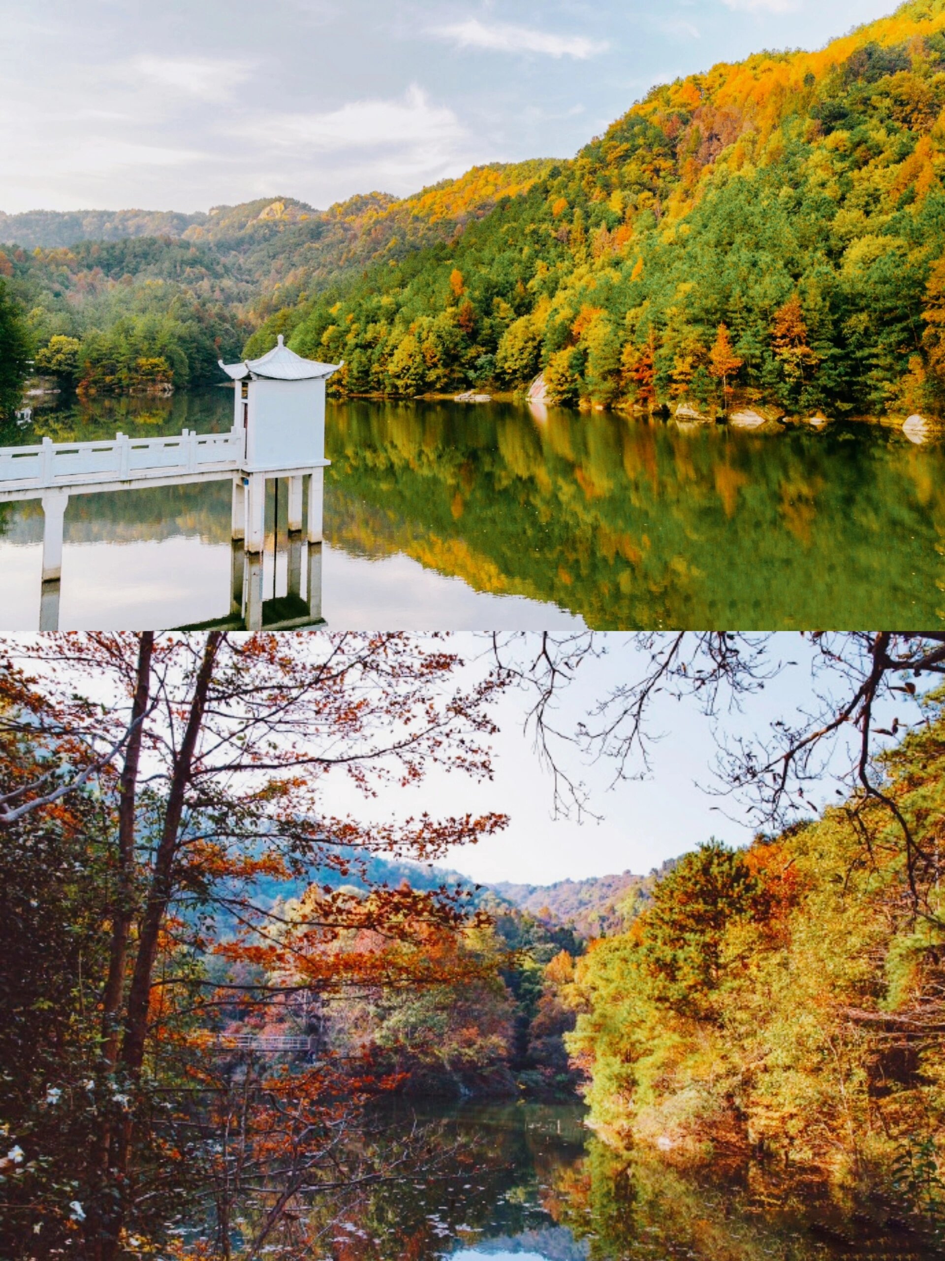 武汉秋日指南|木兰天池