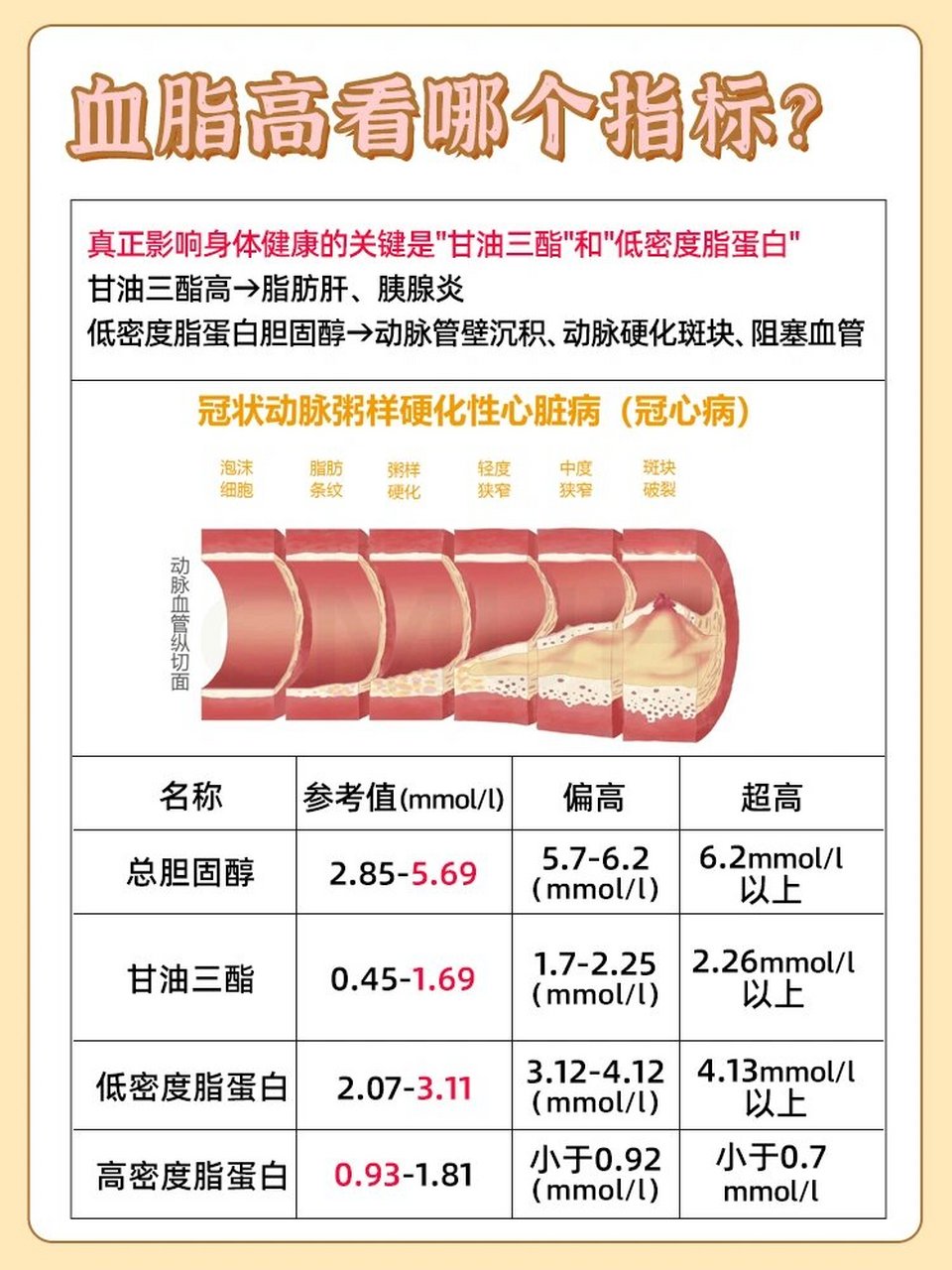 高血脂属于内分泌系统的疾病,在前期可能没有什么明显的症状,但是