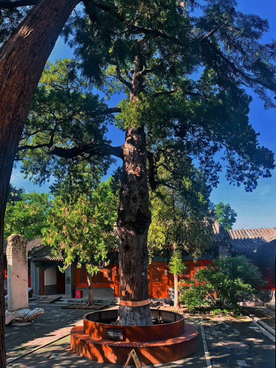 北京 敕建大觉禅寺 始建于辽,初名清水院,后又称灵泉寺,明代重修赐名