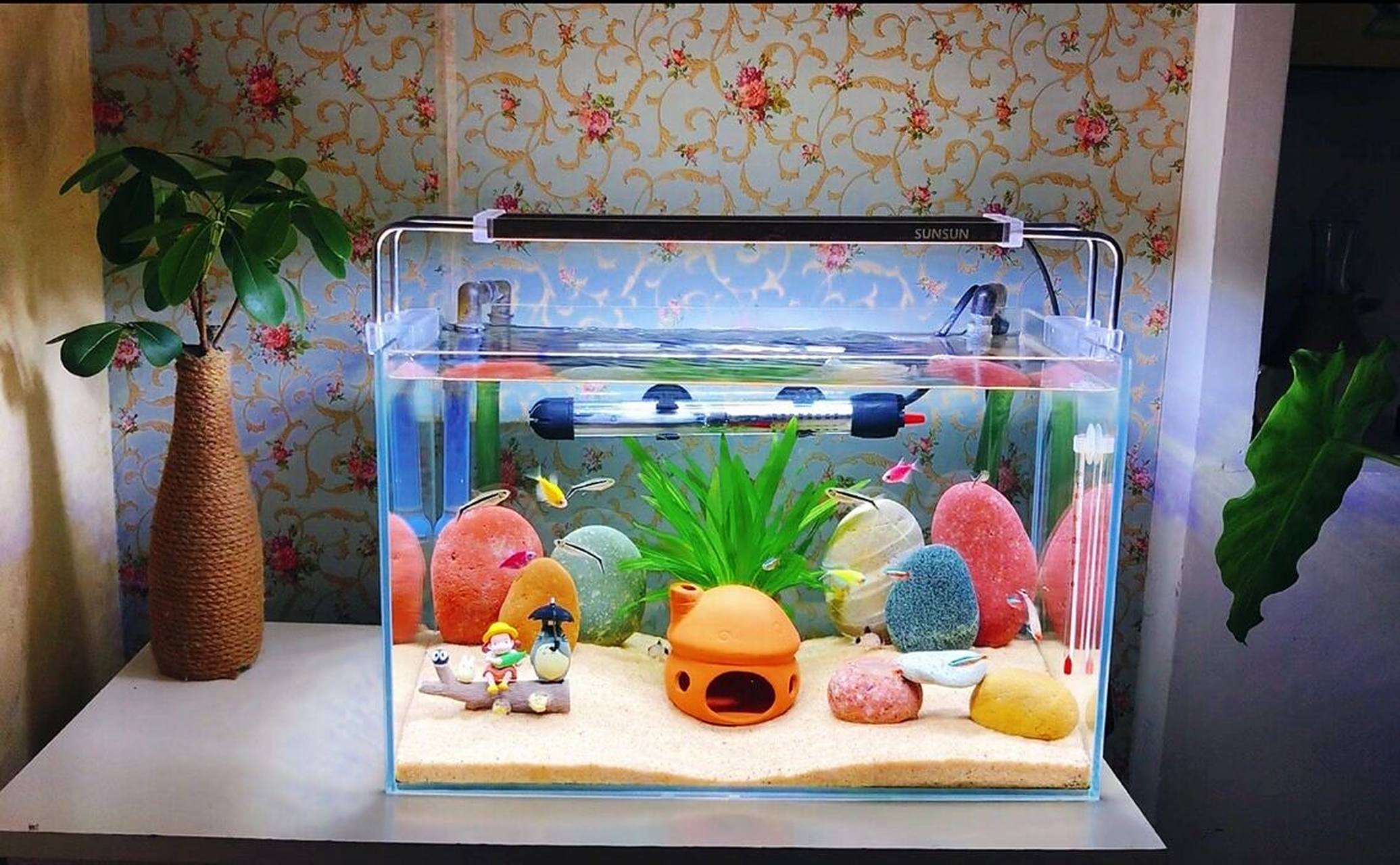 今天的40缸新造景,大家都来晒鱼缸啊!