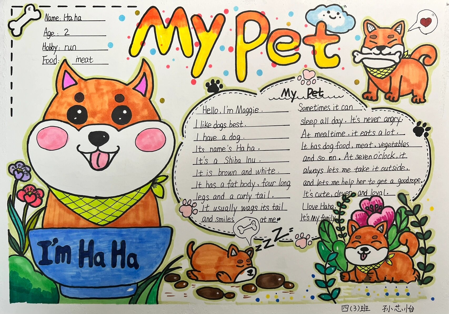 小学四年级my pet手抄报