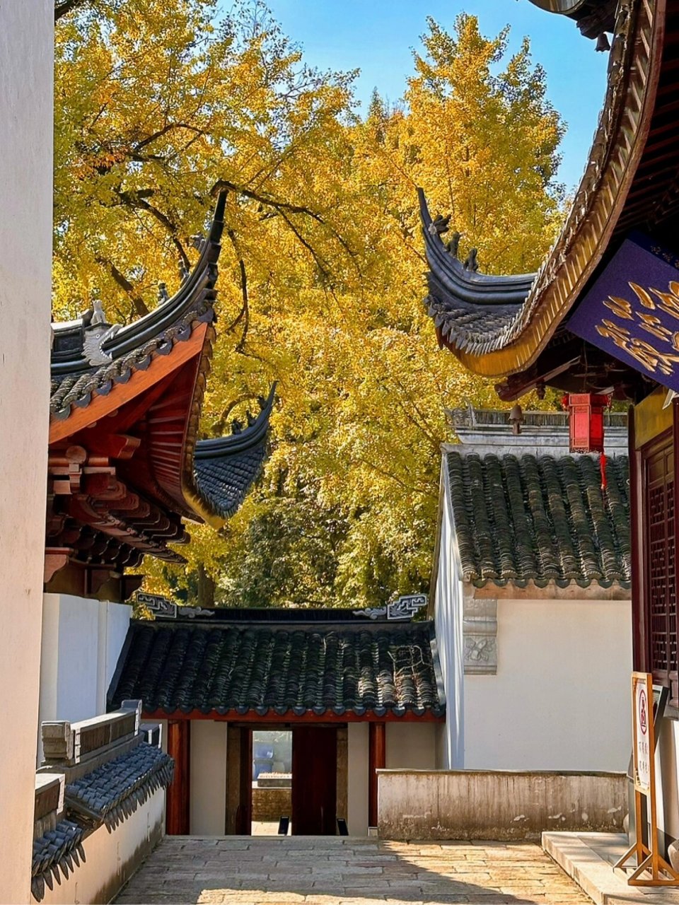 安吉灵峰寺|千年古刹禅意深深 赏秋好去处6015 地址99:安吉县