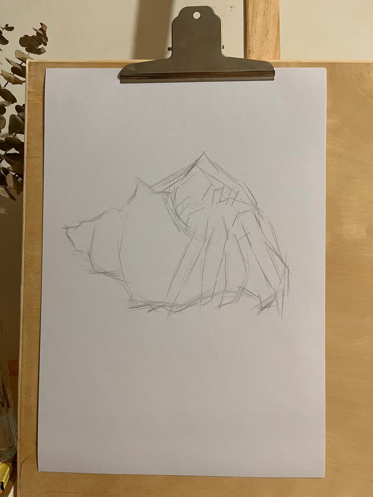 素描.寄居蟹 步骤图