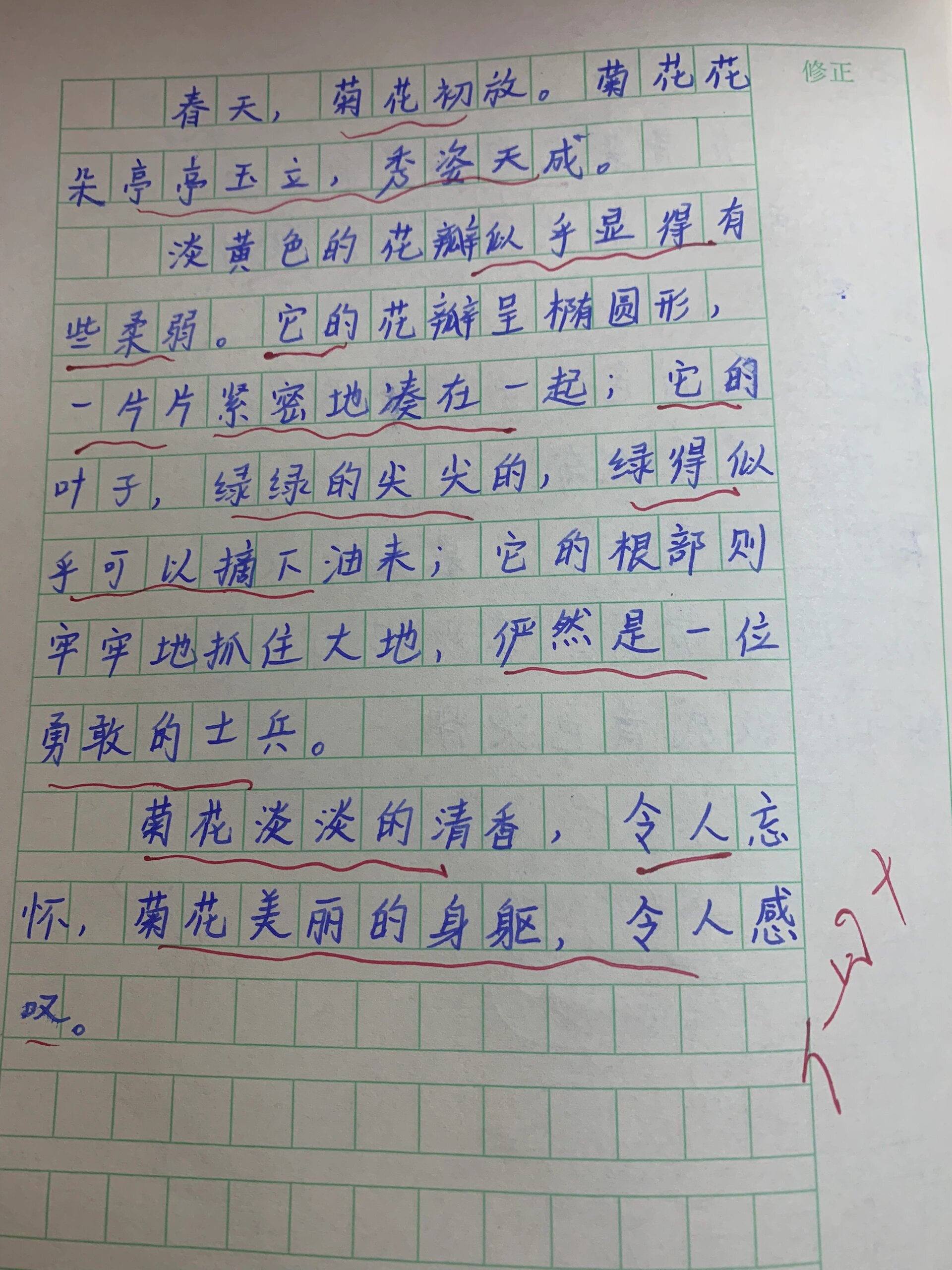 三下《荷花》小练笔