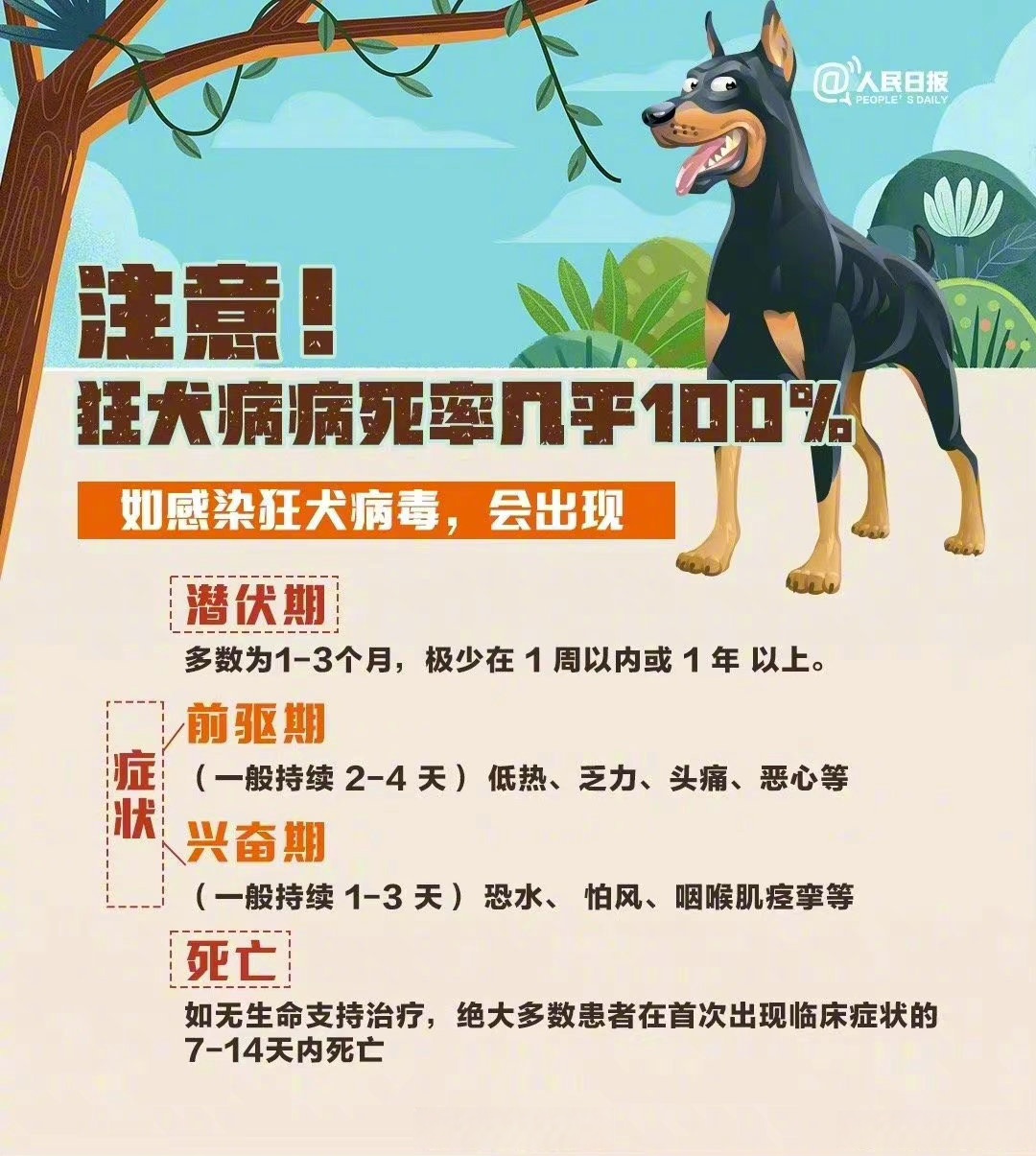如何科学应对狂犬病?接种疫苗有哪些注意事项?戳图了解