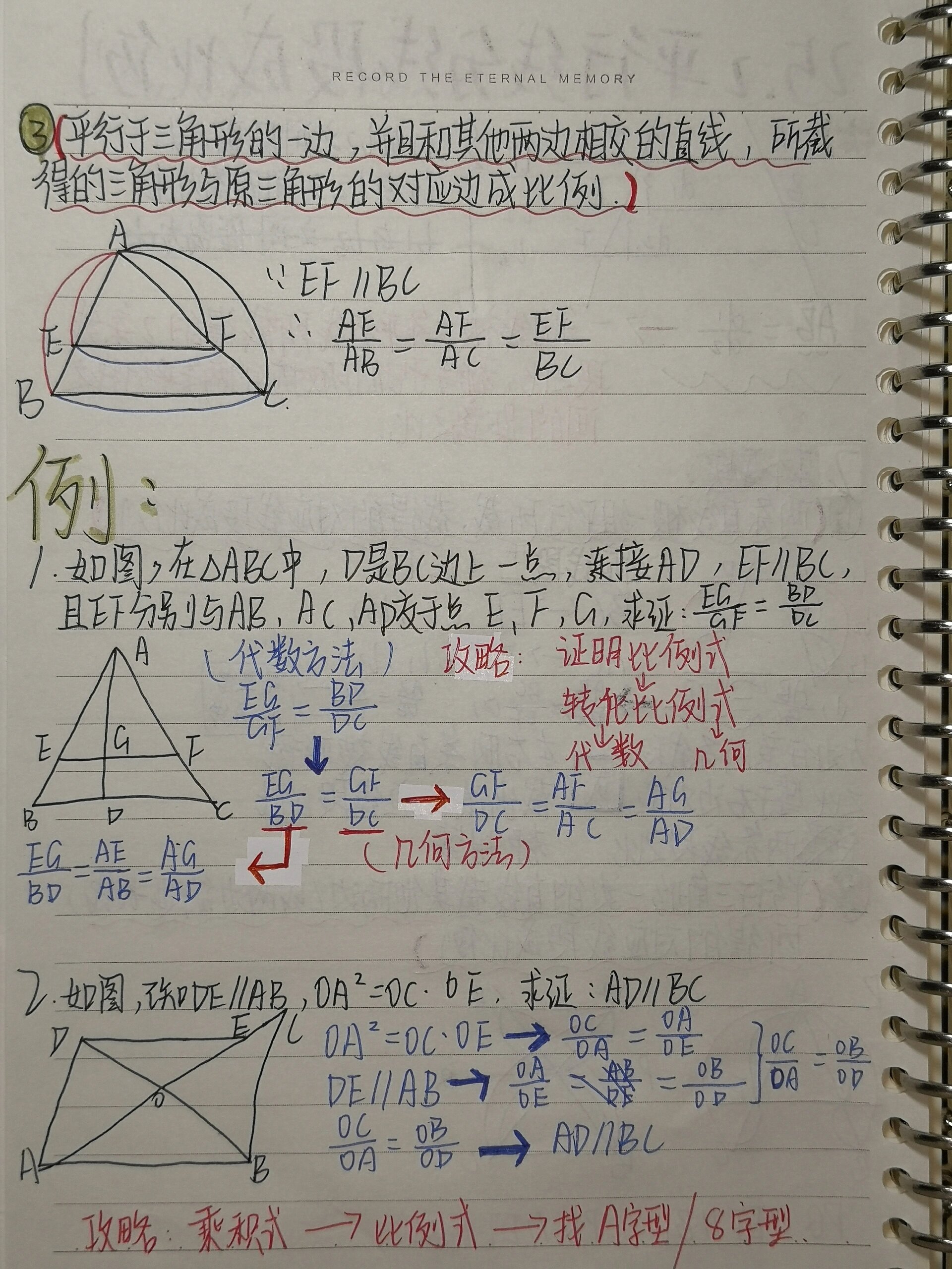 九年级数学笔记，来我这里看笔记吧的简单介绍