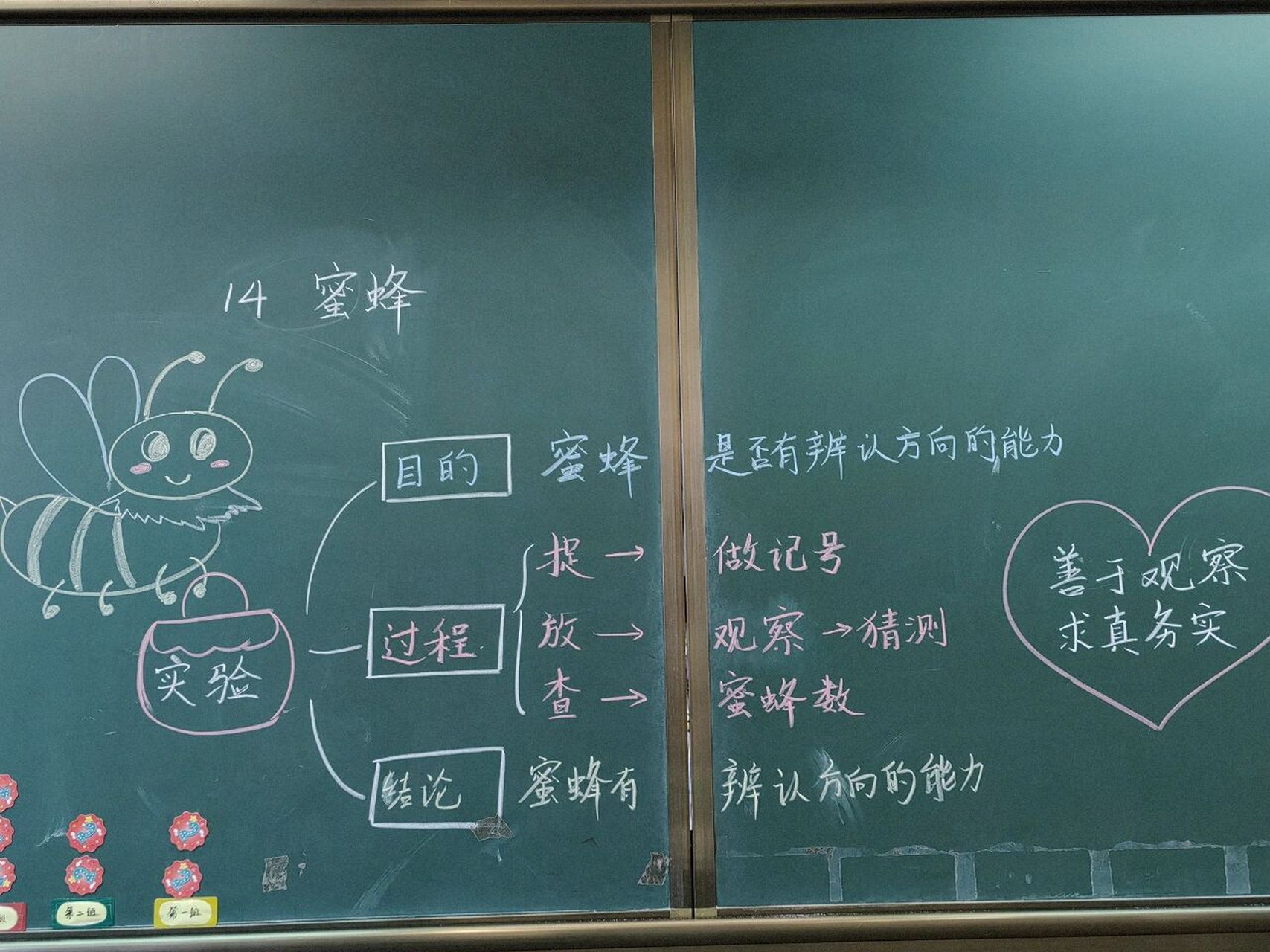 《蜜蜂》板书和课堂笔记 发迟了