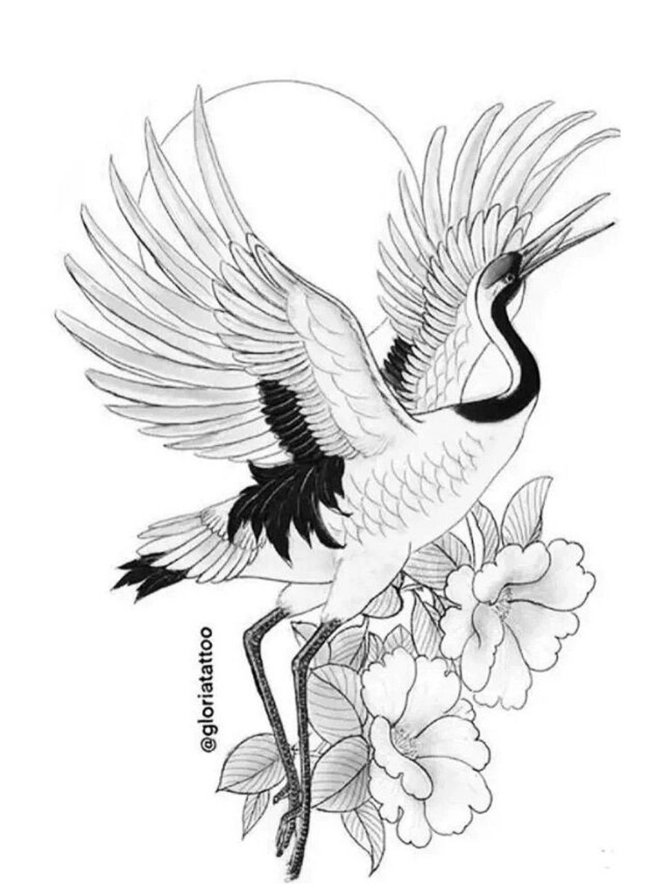 精美的仙鹤纹身手稿图片