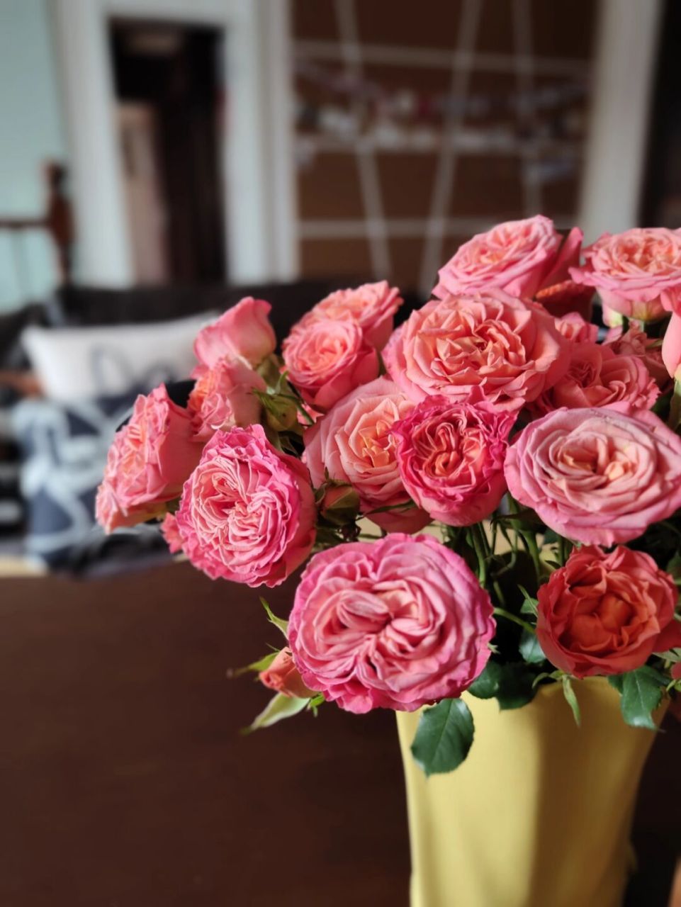 开 之前都是几天就枯了 格外有成就感 图5是刚来的样子……#多头玫瑰