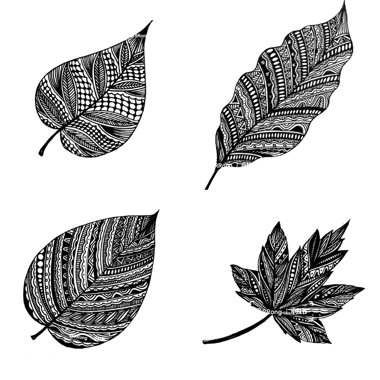 线描树叶 1-4 黑白装饰树叶 线描画 树叶线描 原创线描小画  树叶 1-4