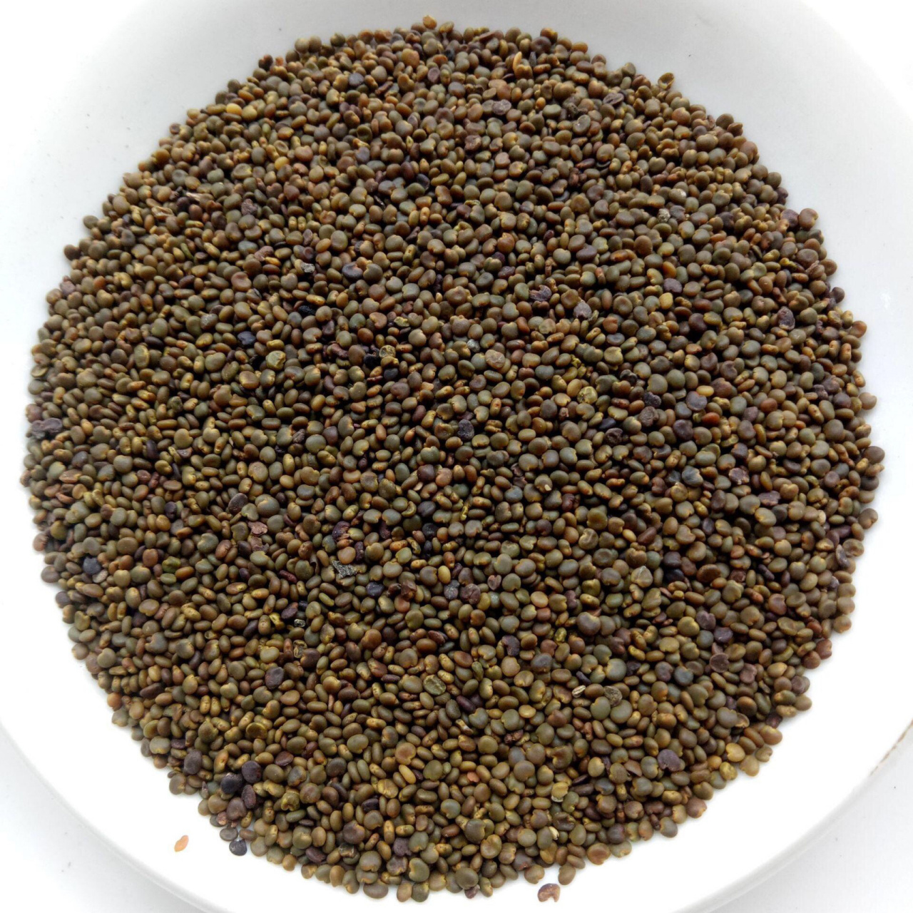 认识沙苑子 沙苑子 又名沙苑白蒺藜,味甘,性温,无毒.入肝,肾经.