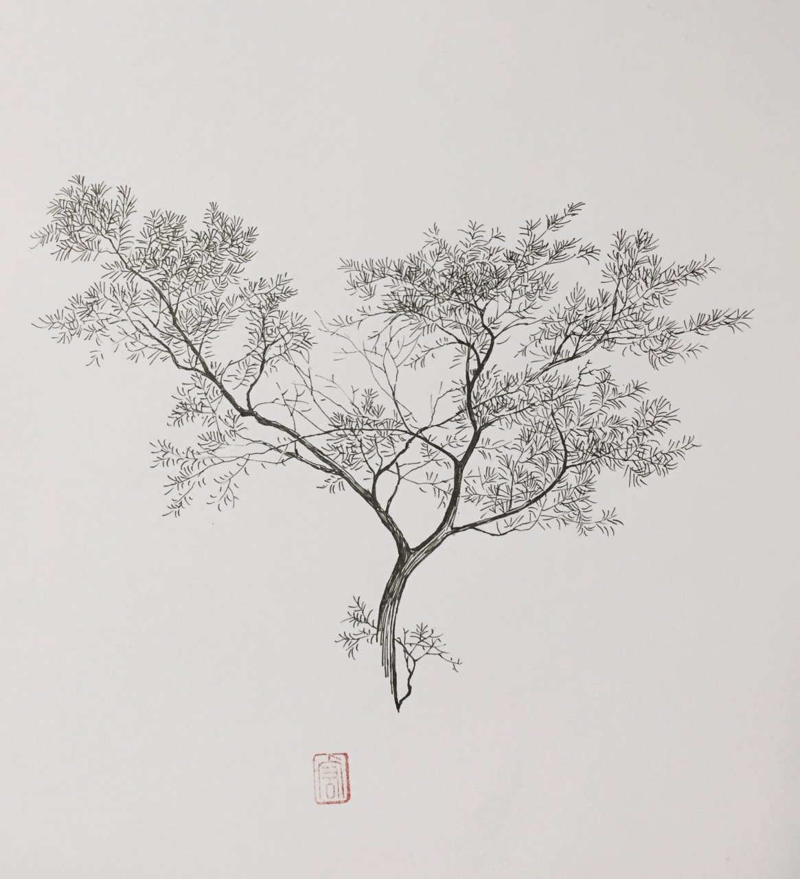 素描风景,树素描