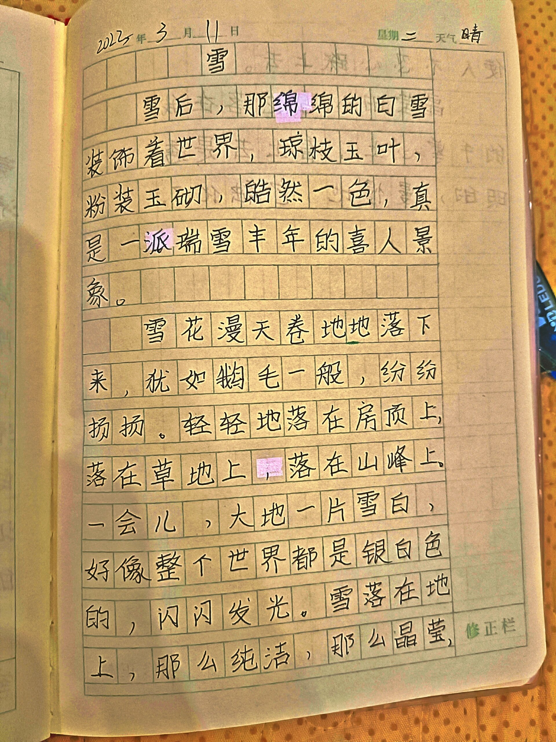 摘抄作文100字