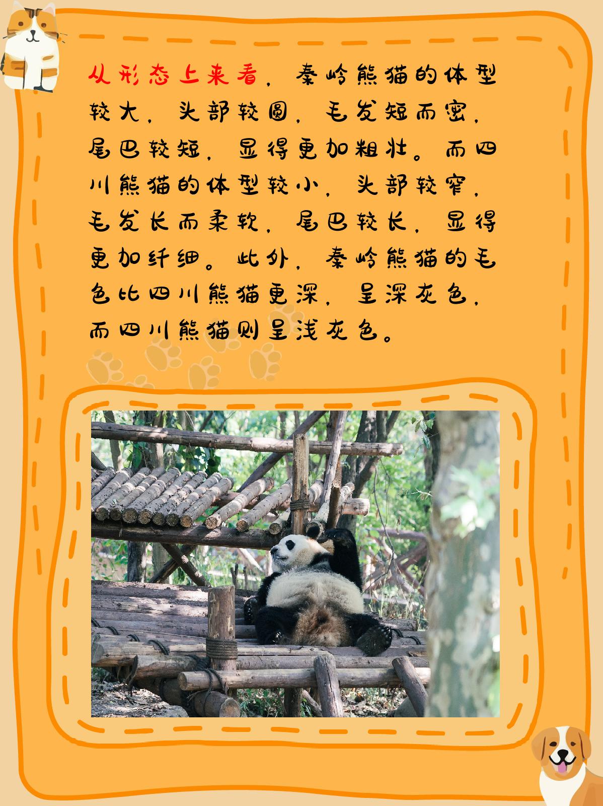 我认为虽然秦岭熊猫和四川熊猫都属于大熊猫的亚种,但它们在形态,生活