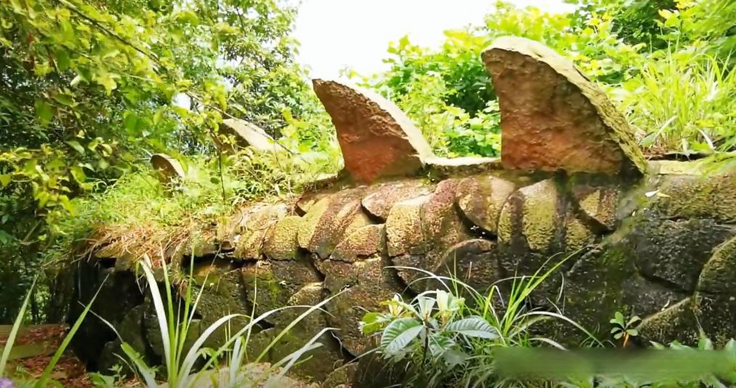 云游风物之旅头条创作挑战赛重庆涂山山顶的石刻巨龙,依山而刻气势