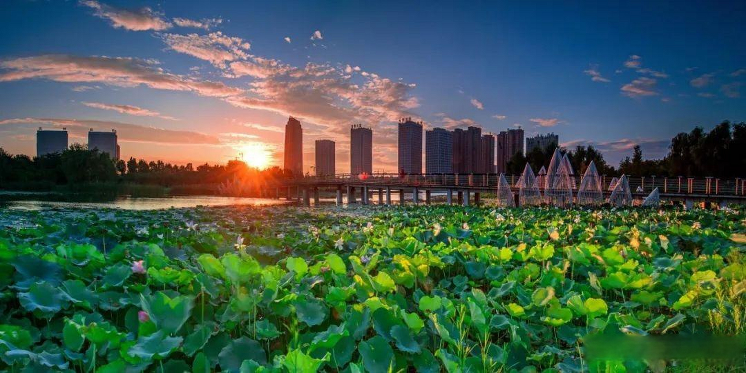 许昌:加快推进禹州沙陀湖调蓄工程建设 本台许昌4月3日消息,近日,河南