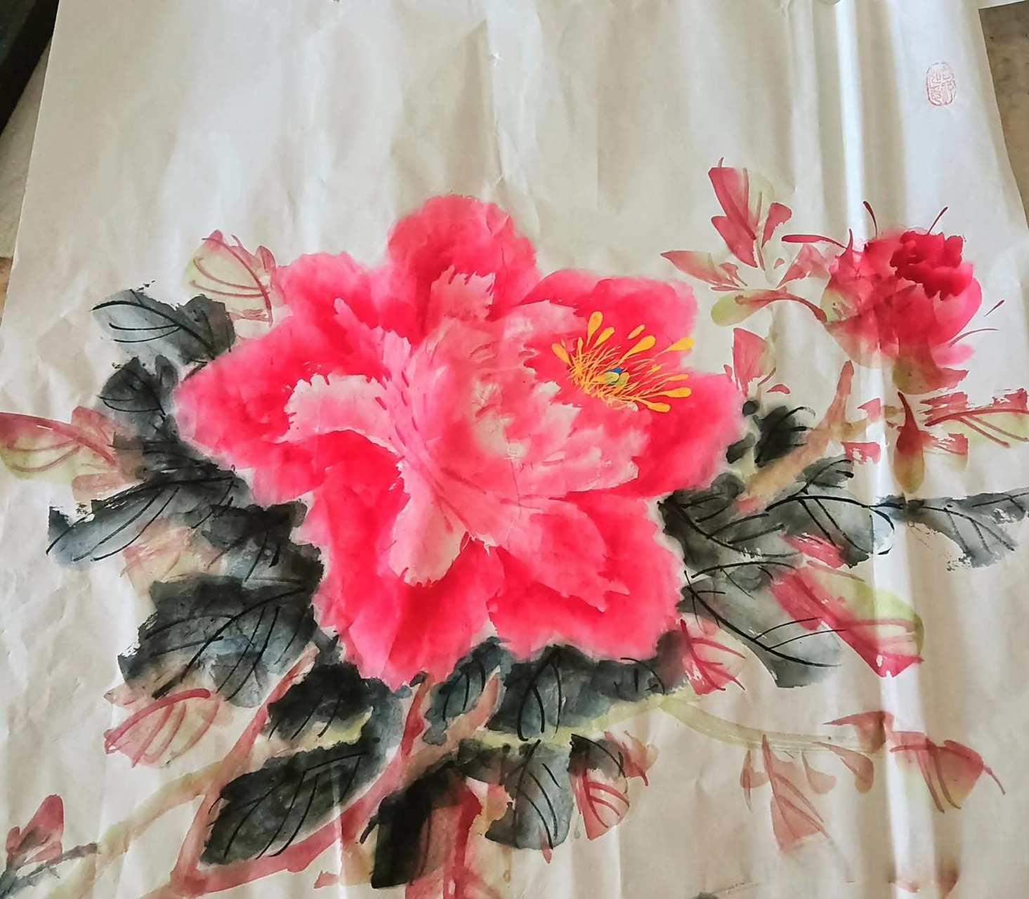 评论区出主意大赛每日一画,国画牡丹作品欣赏分享二乔牡丹花 各种颜色