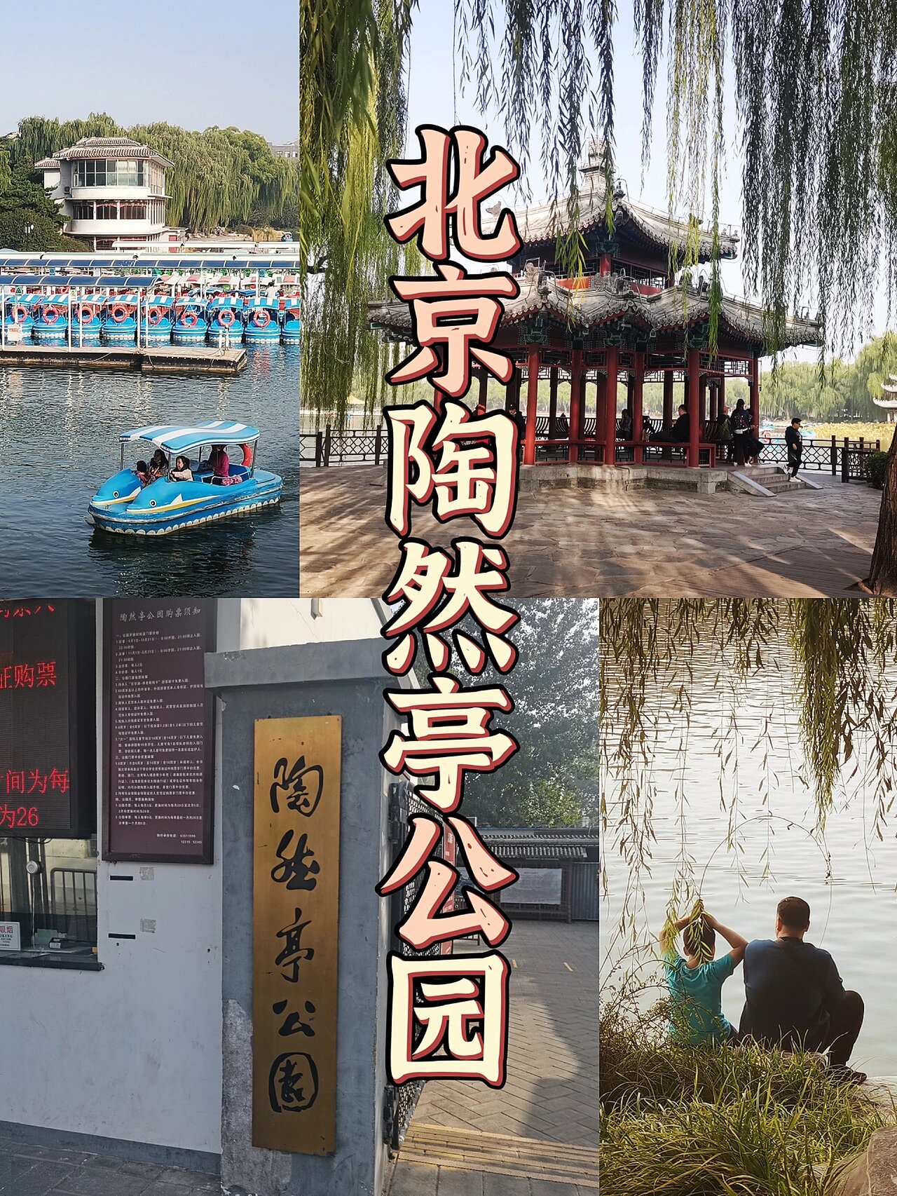 北京陶然亭公园|推荐这个小众又宝藏的公园