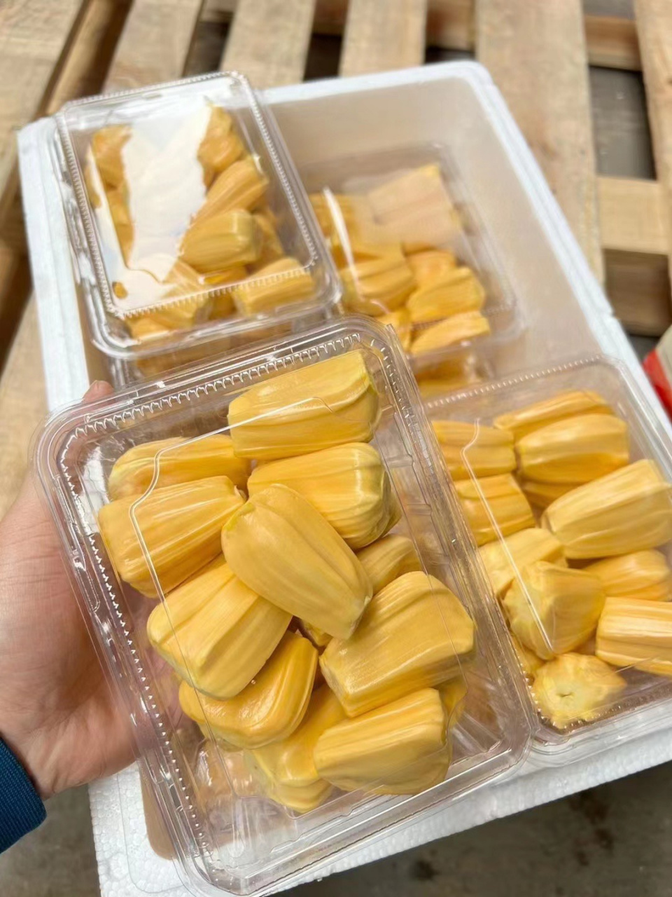 菠萝蜜你们吃干包还是湿包 01我站干包队,泰国越南的都9315又脆