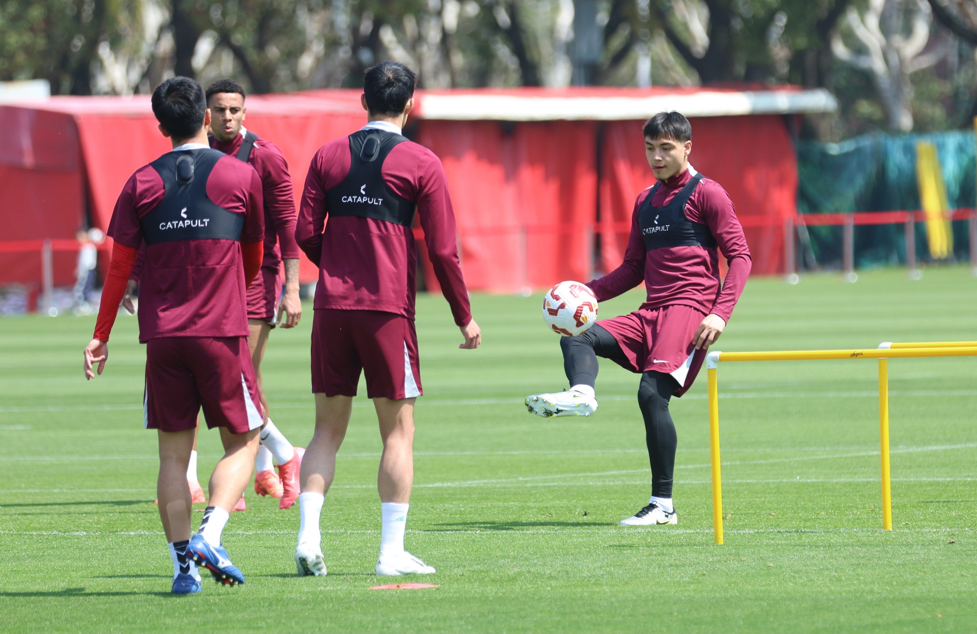 今天上午,以"赤心二十,共耀成林"为主题的海港球迷开放日暨植树节活动