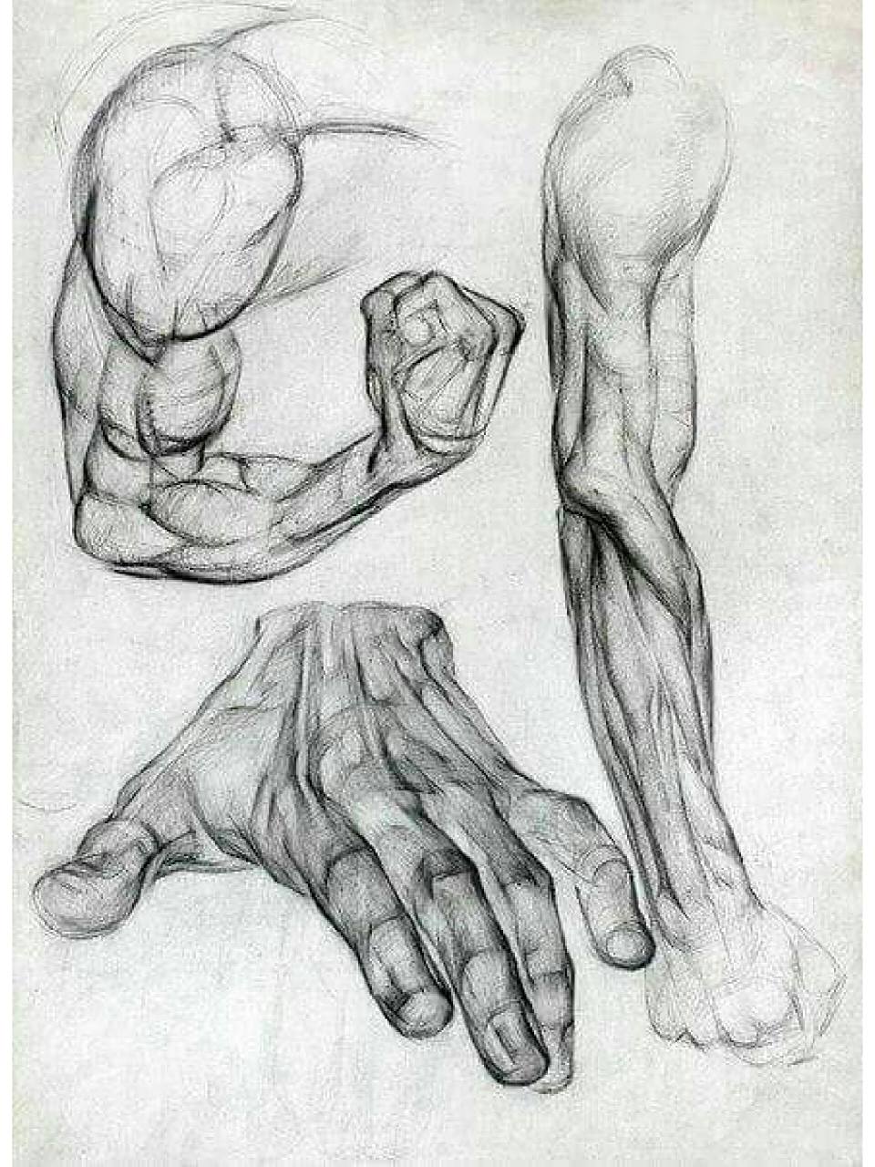 素描手臂的结构理解94