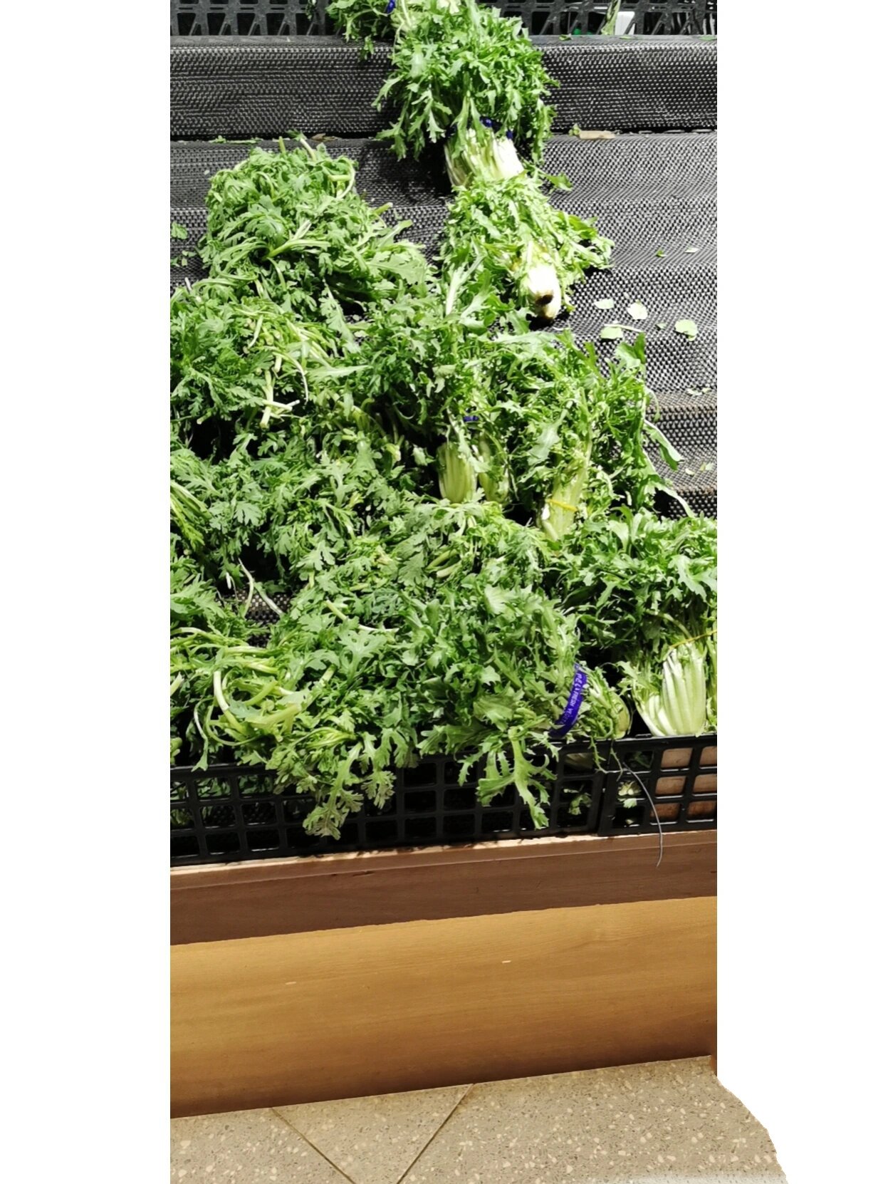 茼蒿和苦菊分的清么?