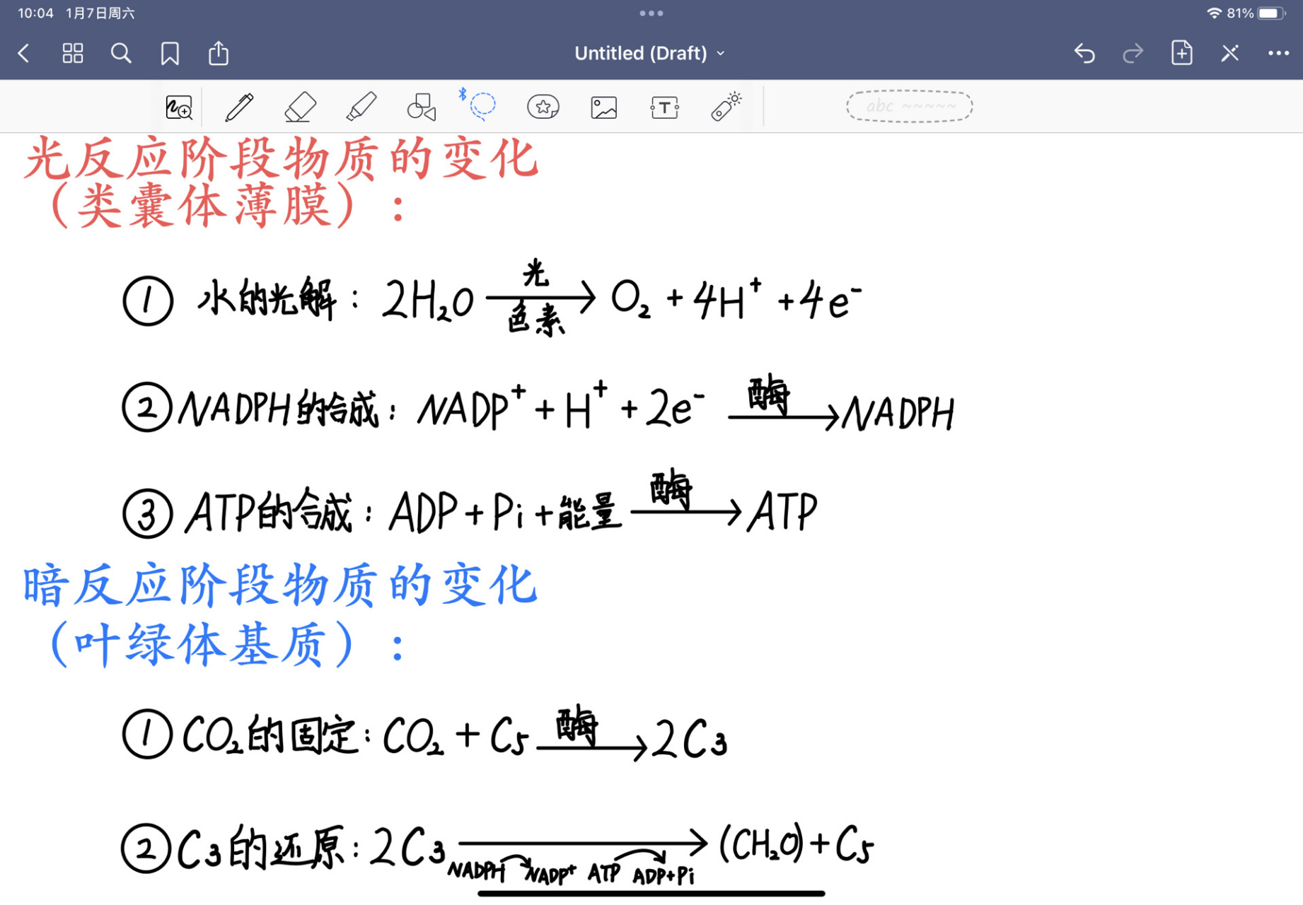 光合作用方程式图片