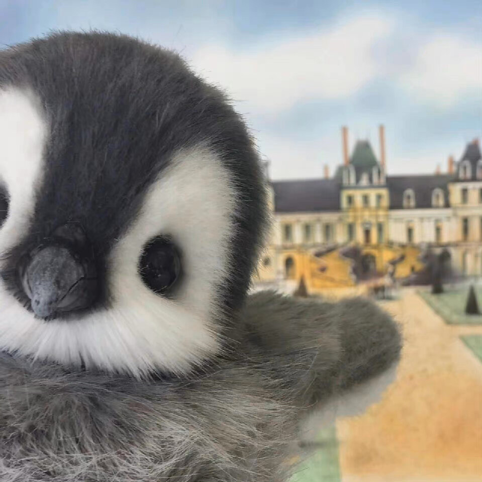 企鹅宝宝93 一组可爱的企鹅头像分享