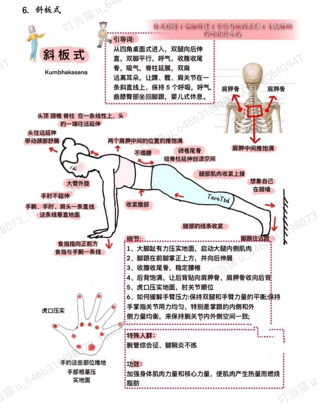 瑜伽教练体式背诵口诀图片