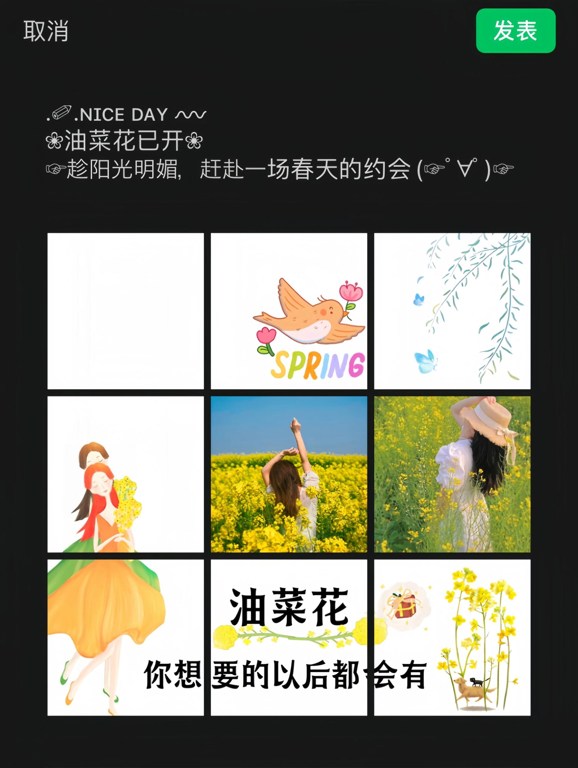 春日的油菜花田|油菜花朋友圈文案九宫格 05620566/61.