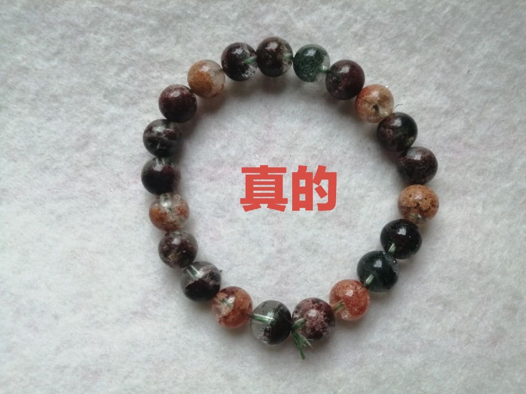 真假四季幽灵的区别 图一就是染色的四季幽灵,假的四季幽灵颜色非常