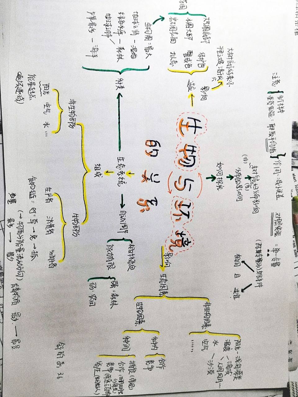 六上生物与环境关系思维导图来啦