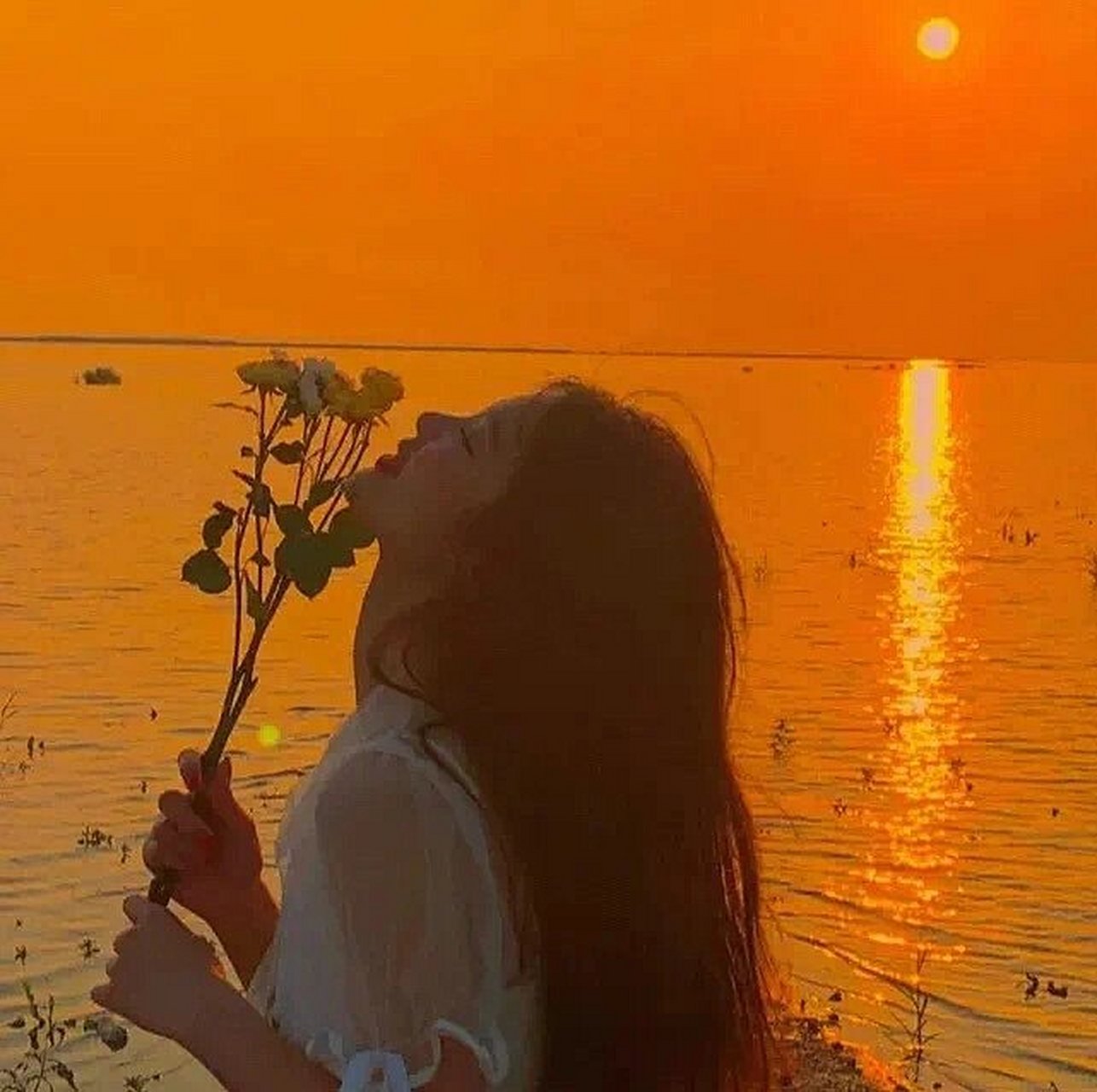 女生头像|夕阳西下|海边背影头像女清甜