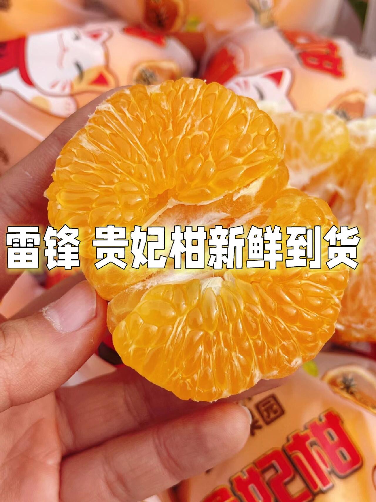 颗颗饱满的 雷锋果园 贵妃柑 到货啦!