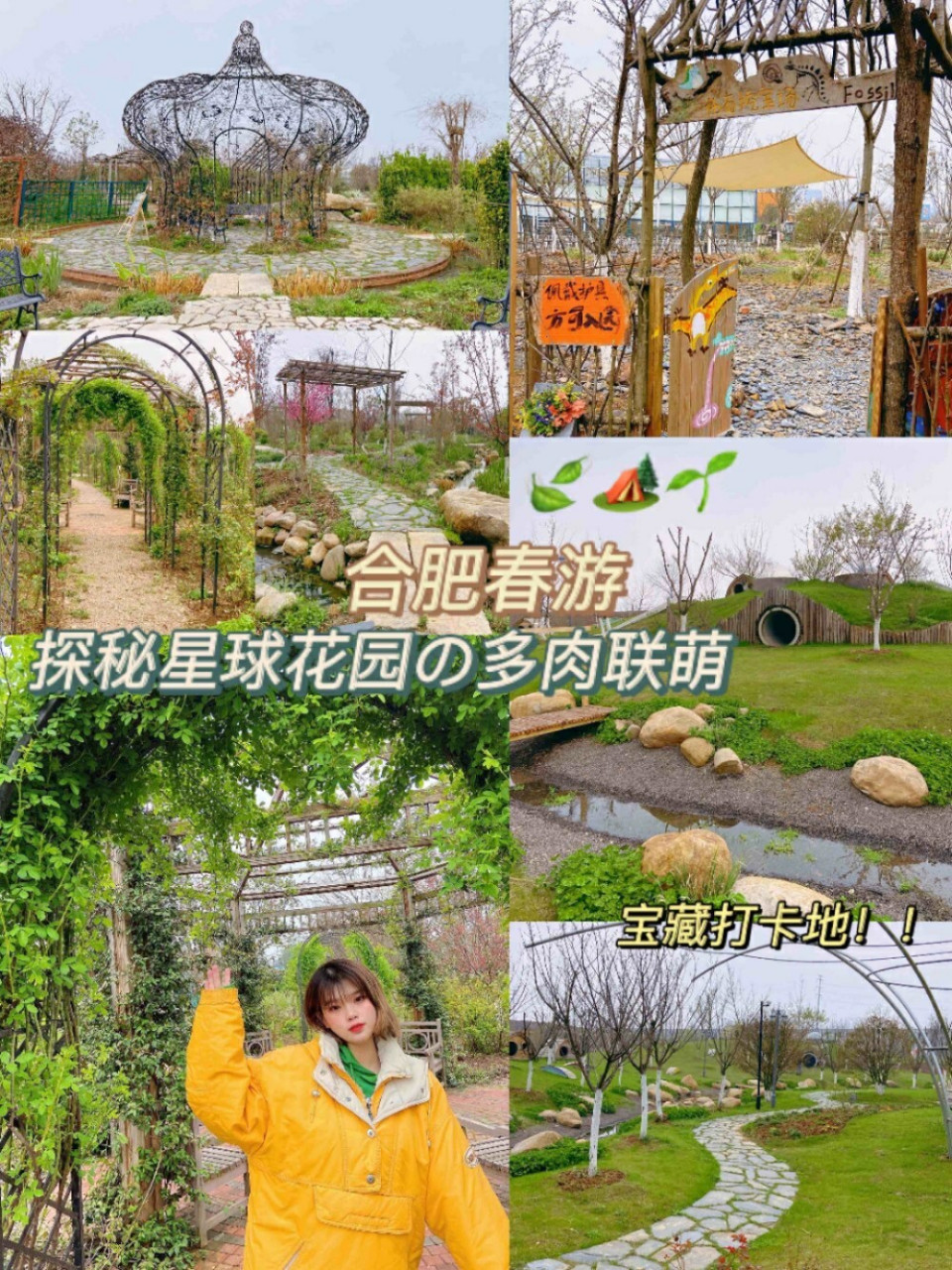 合肥旅游 |春天来星球花园一起探秘多肉联萌 哇哇哇,周末正好和朋友约